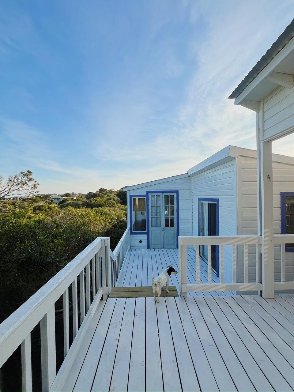 WhatsApp Image 2025-11-08 at 11.10.26 (1).jpeg