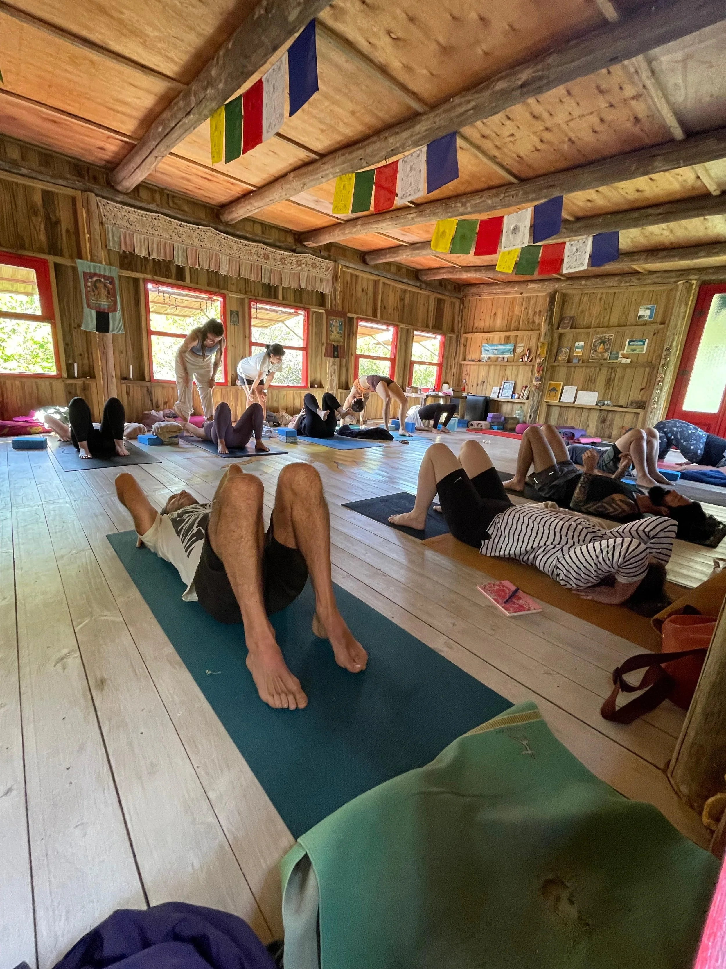 WhatsApp Image 2025-11-24 at 16.34.25.jpeg