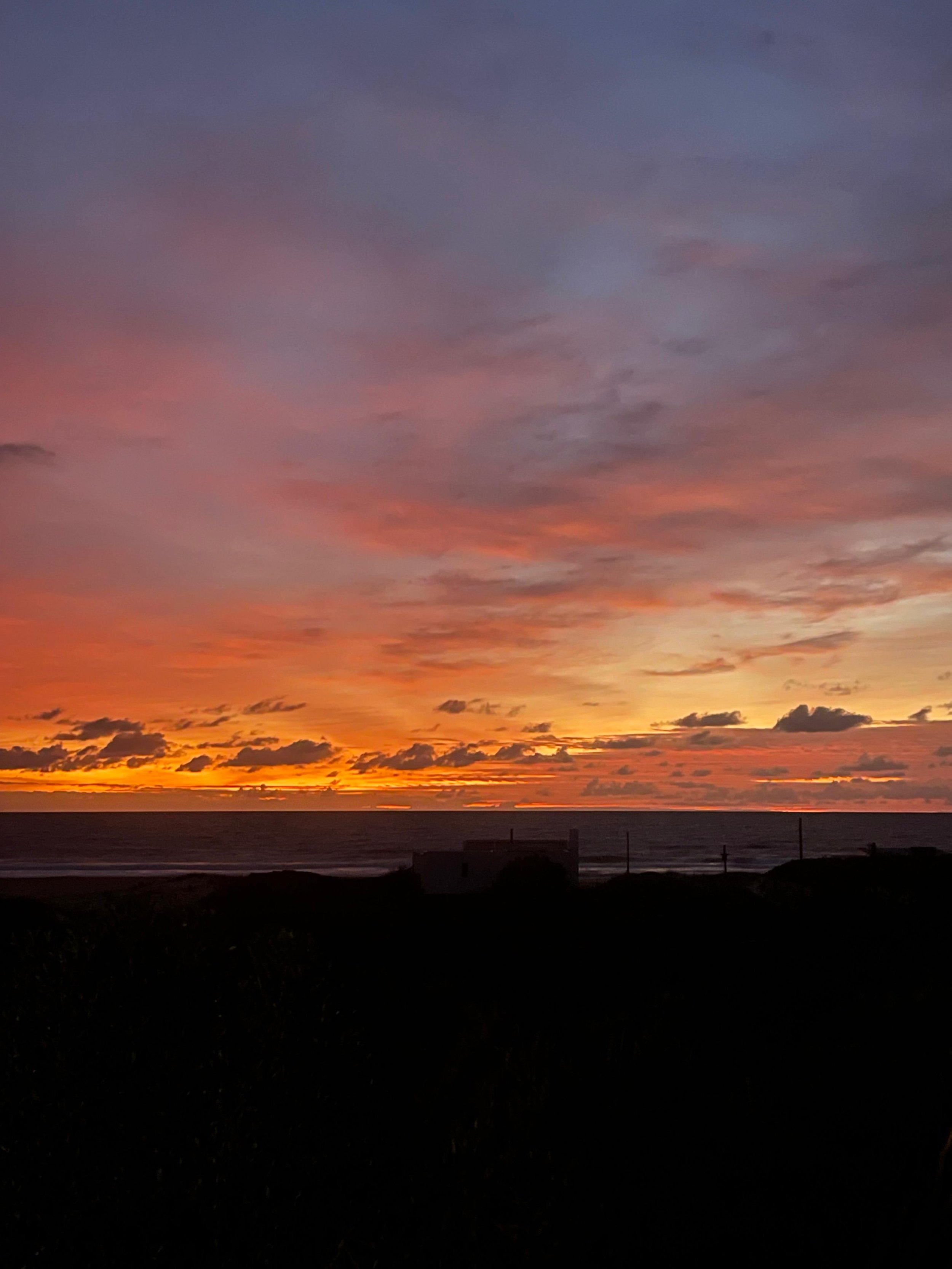 WhatsApp Image 2025-11-24 at 16.34.26.jpeg