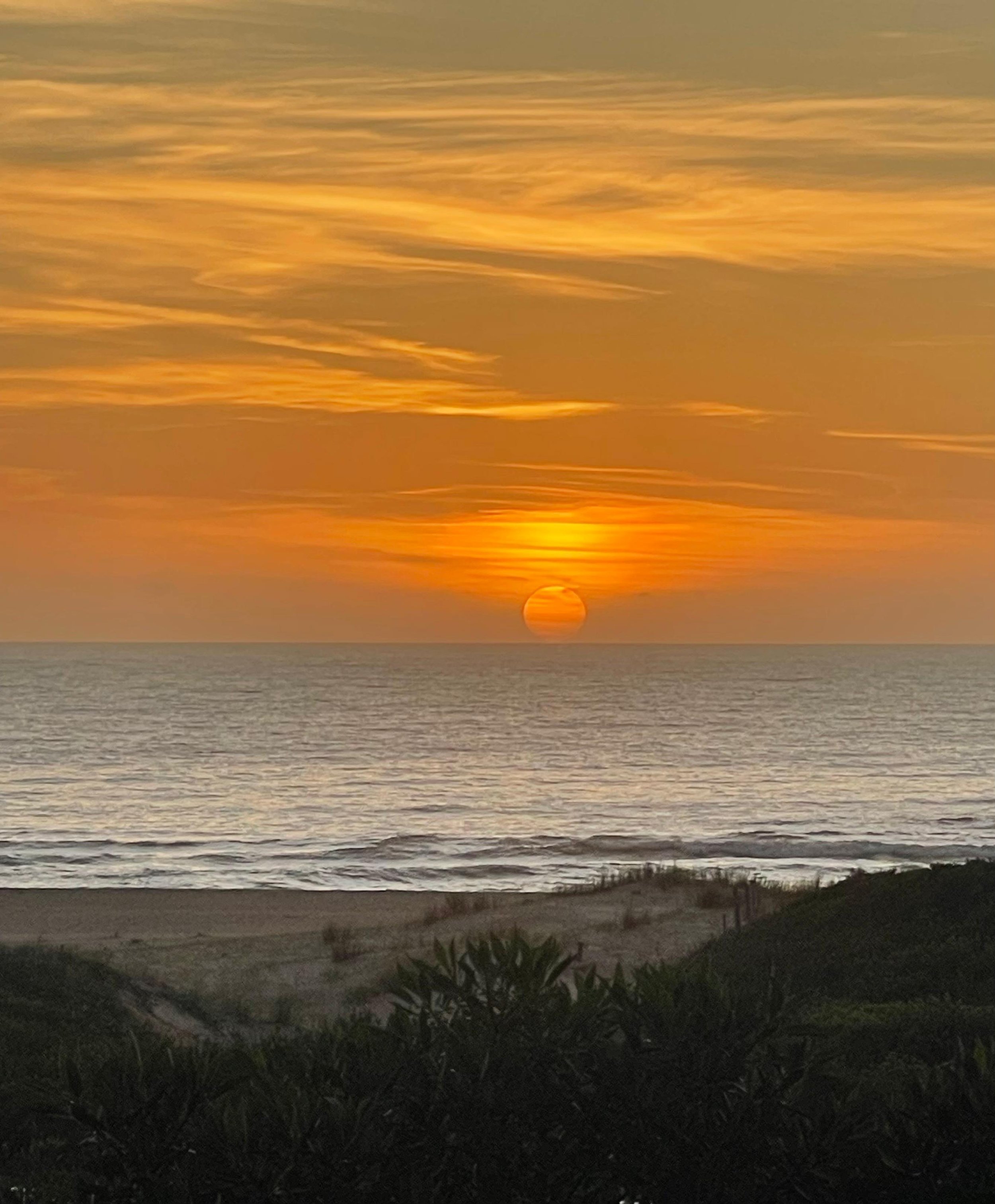 WhatsApp Image 2025-11-25 at 09.47.06 (1).jpeg