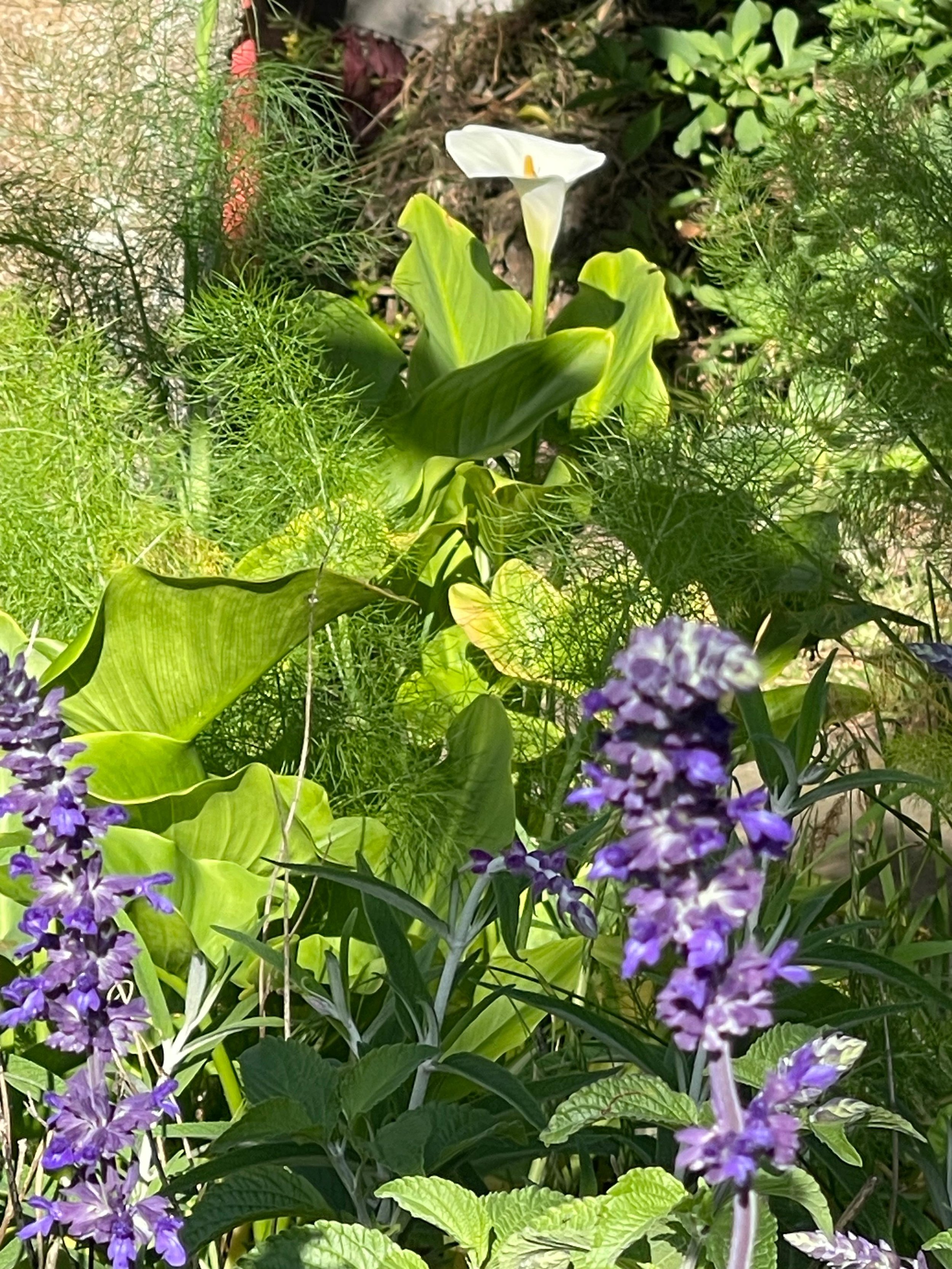 WhatsApp Image 2025-11-25 at 09.47.09 (1).jpeg