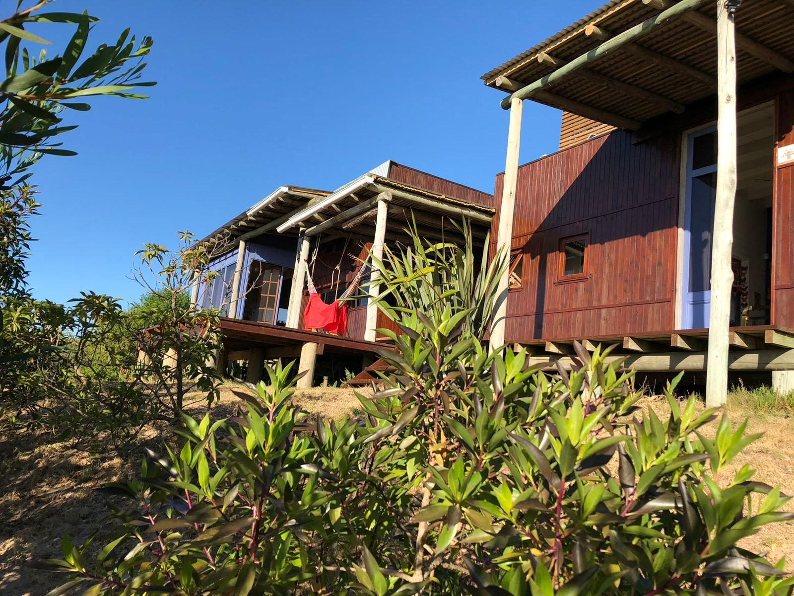 WhatsApp Image 2021-09-02 at 9.23.24 PM.jpeg