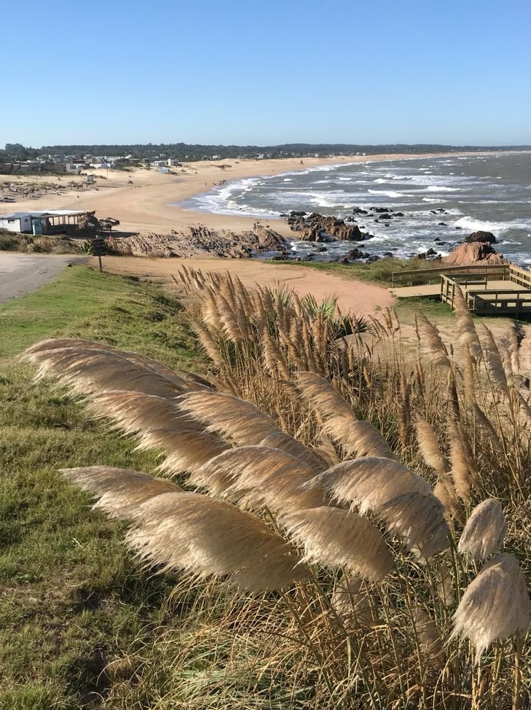 WhatsApp Image 2021-09-03 at 10.15.54 AM.jpeg