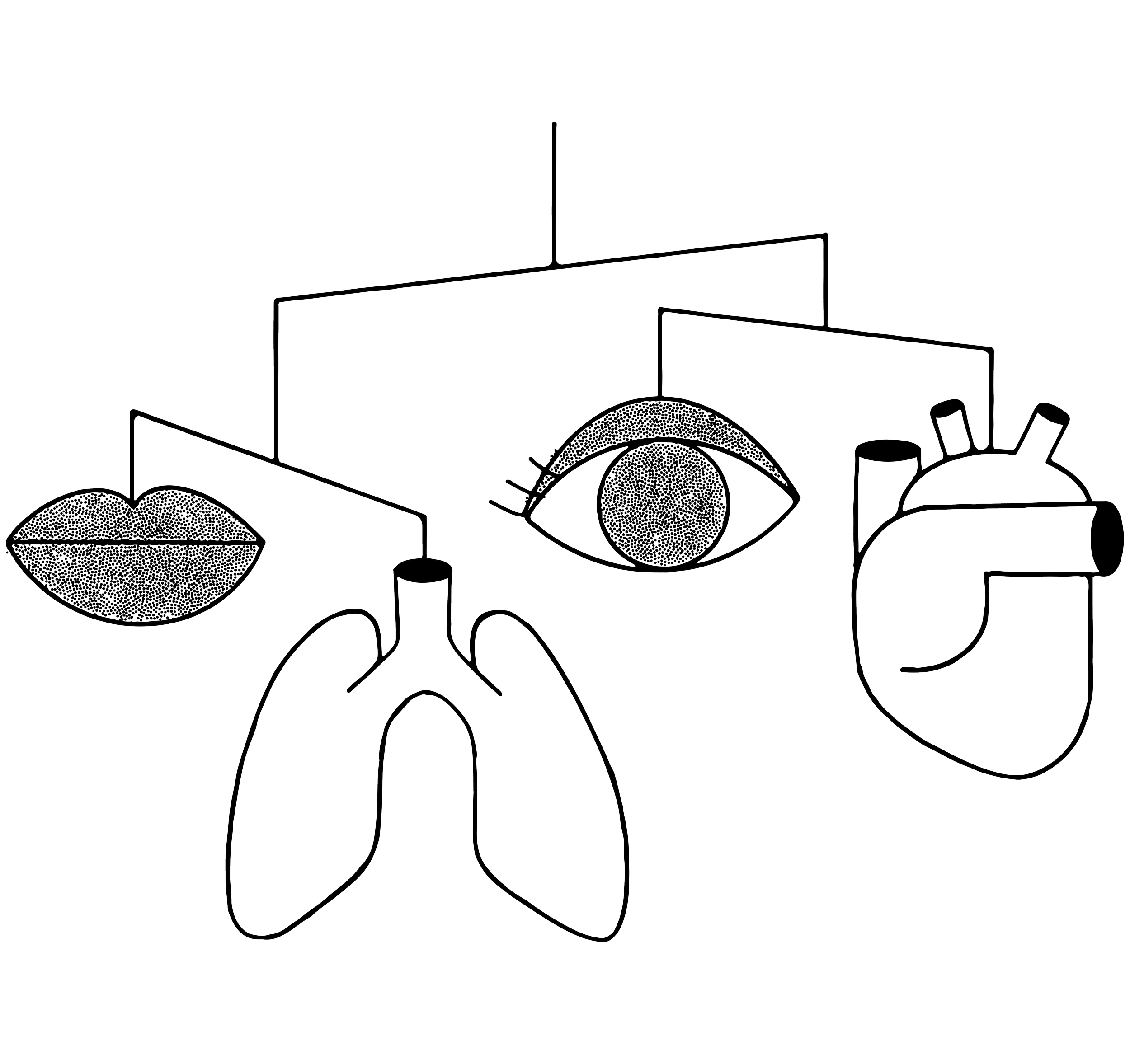 FP_illustrations_web-06.png