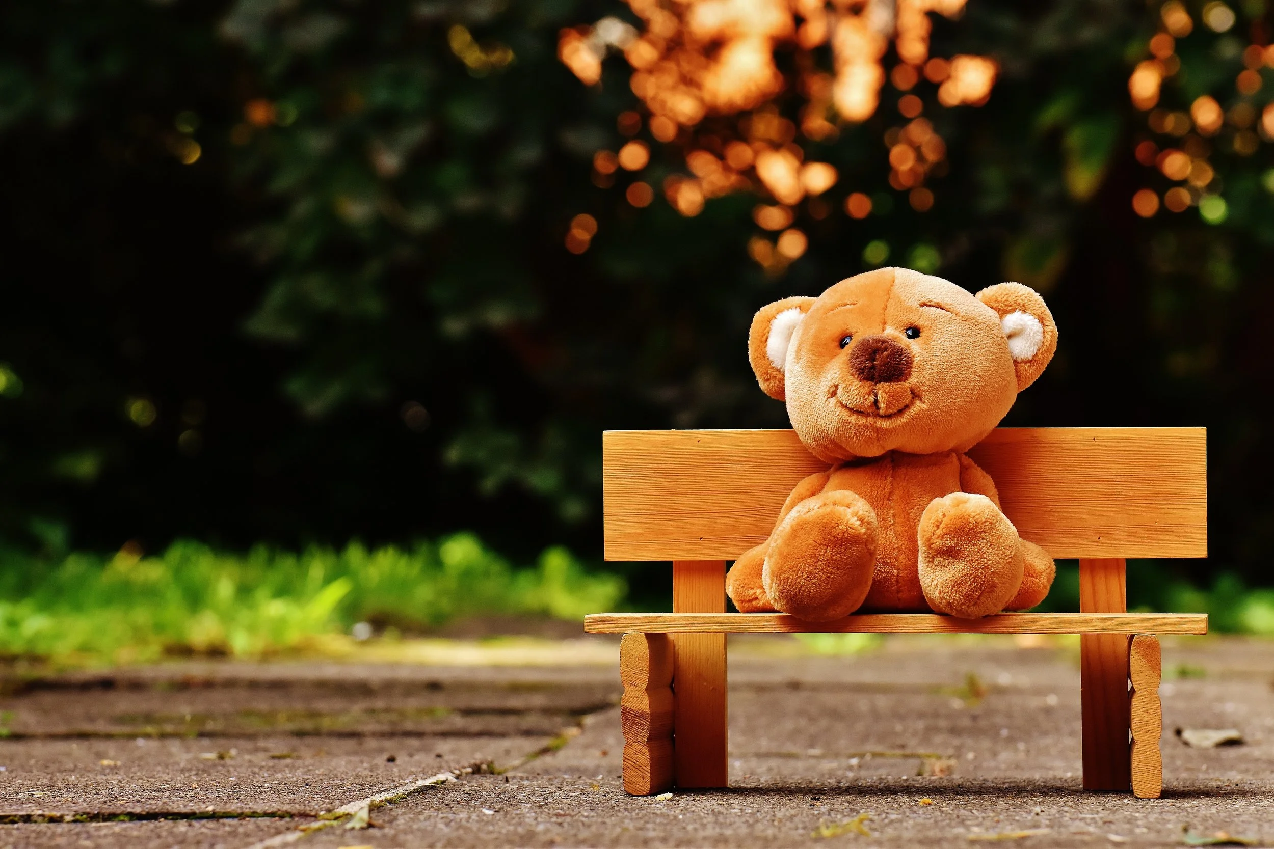 Teddy bears to take a leap of faith as they are launched from St Paul’s Church tower