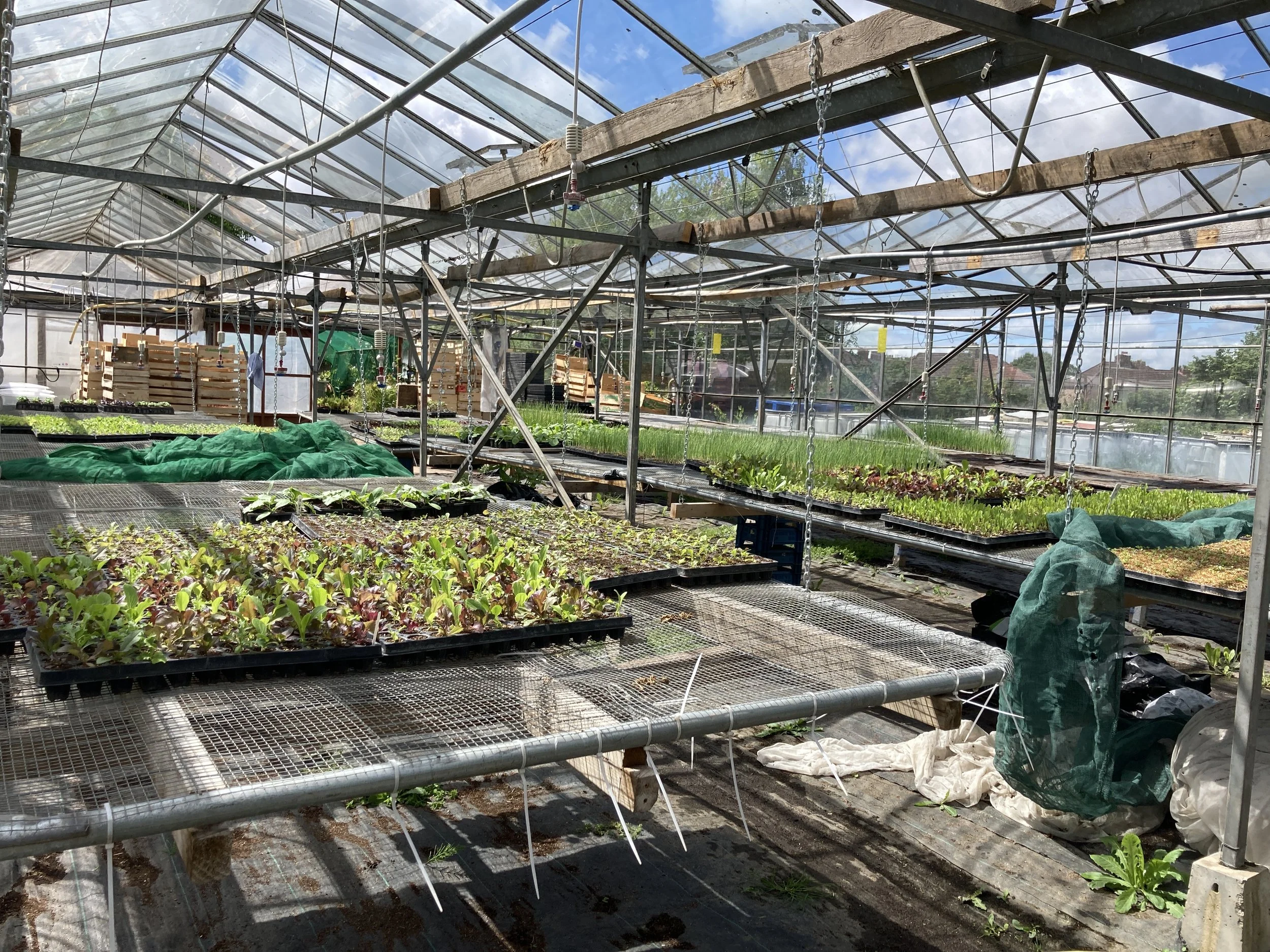 Glebelands Organic Produce ceases production “with a heavy heart”