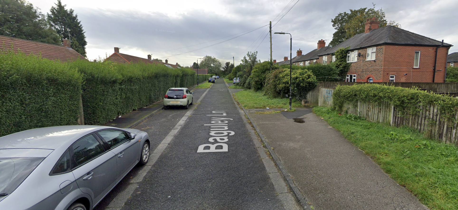Police appeal after serious dog attack leaves victim with “life-changing injuries”