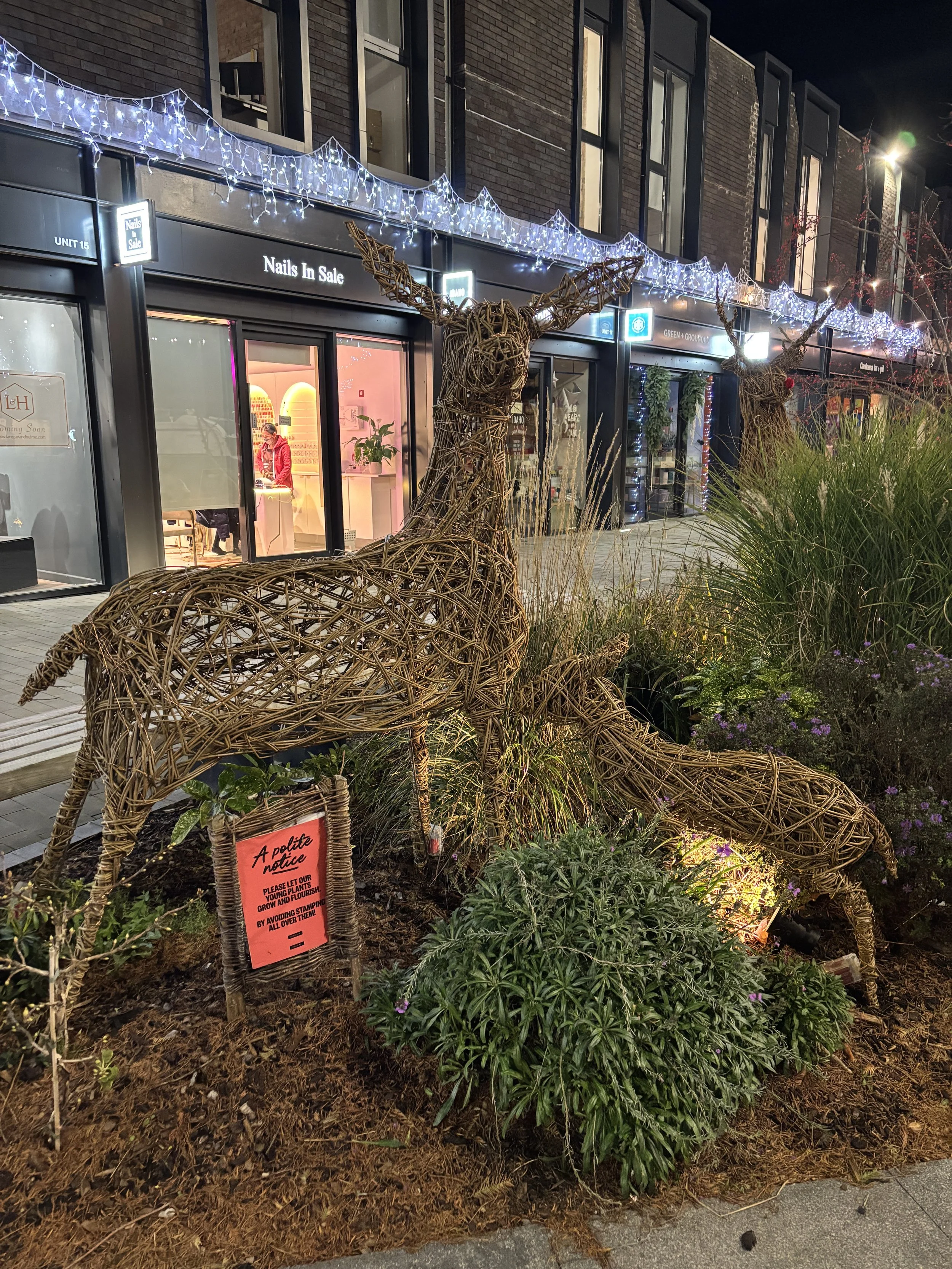 willow-goat-crafts-stanley-square.JPG