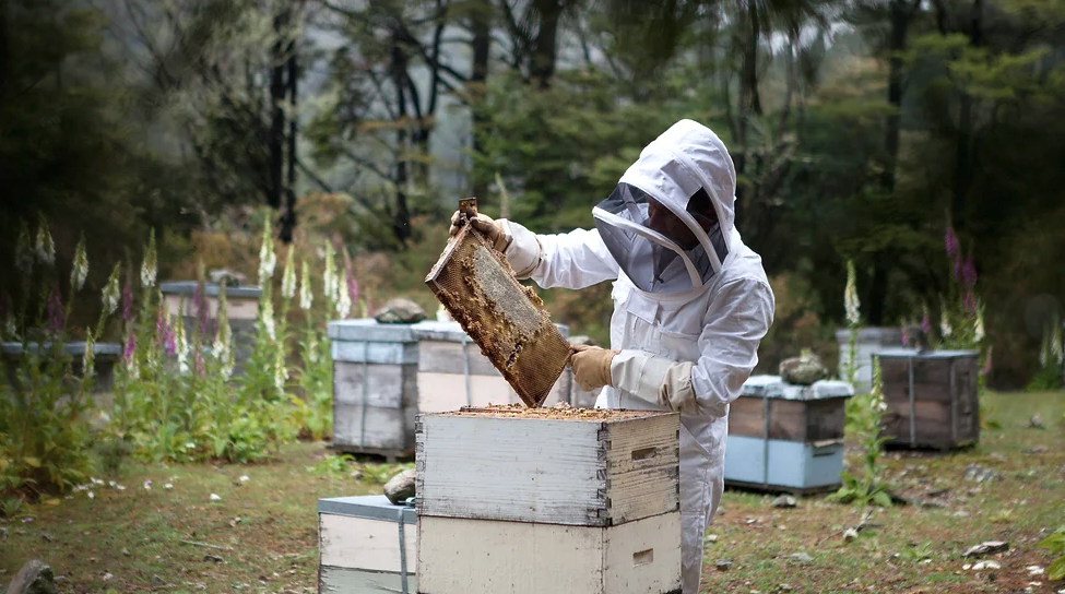 The best experience gifts for Mother’s Day in Sale