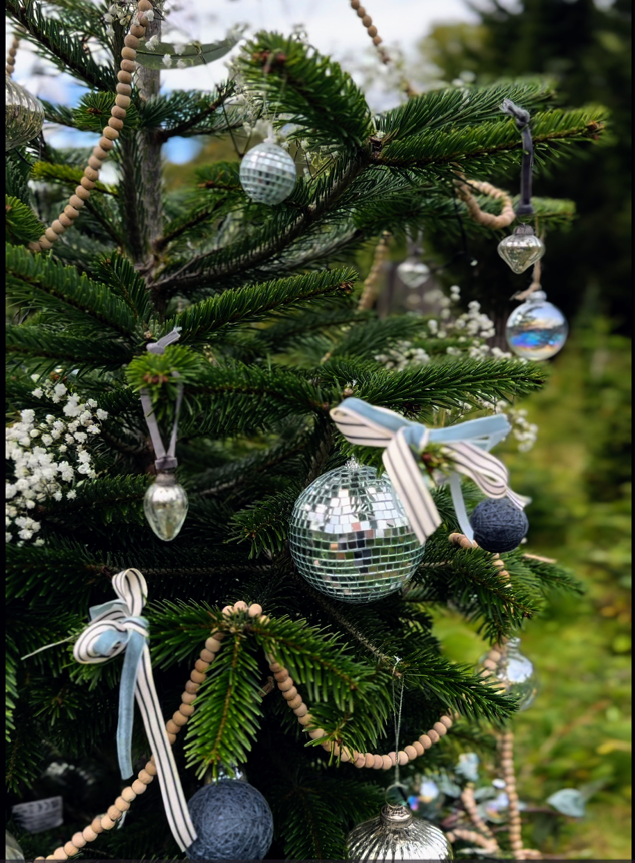 christmas-package-design-at-17-studio-Rebecca-Conlon-Ratcliffe.png