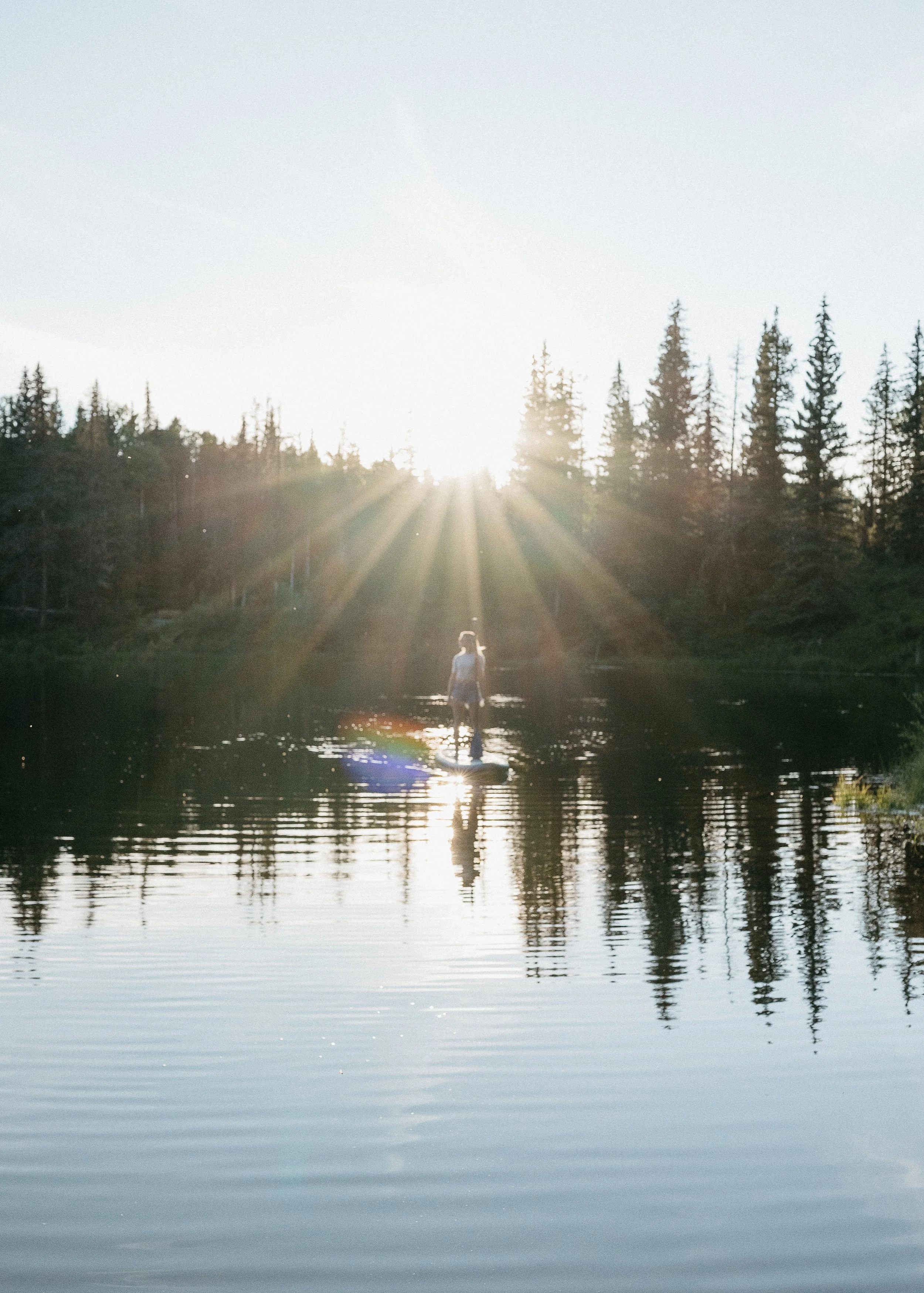 Elevate &amp; Energize: Cultivate healthier habits to better support your goals
