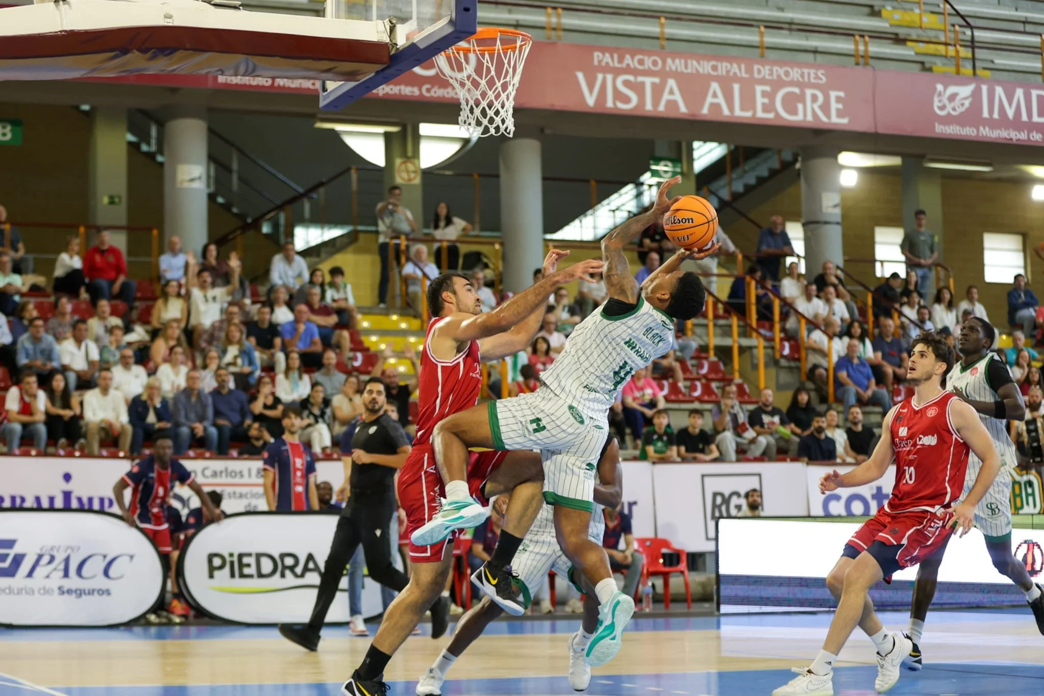 WhatsApp Image 2025-10-26 at 13.42.42.jpeg