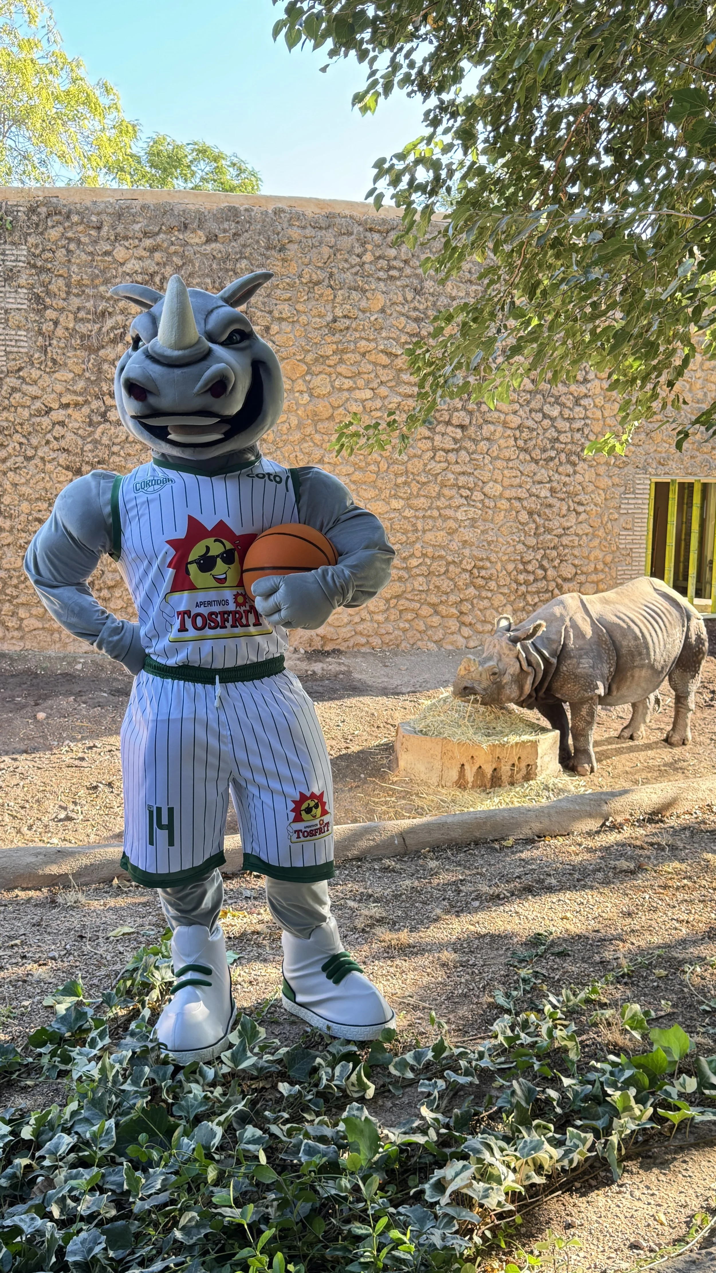 MANAS, LA NUEVA MASCOTA DE CCB QUE YA ES EMBLEMA DEL CLUB