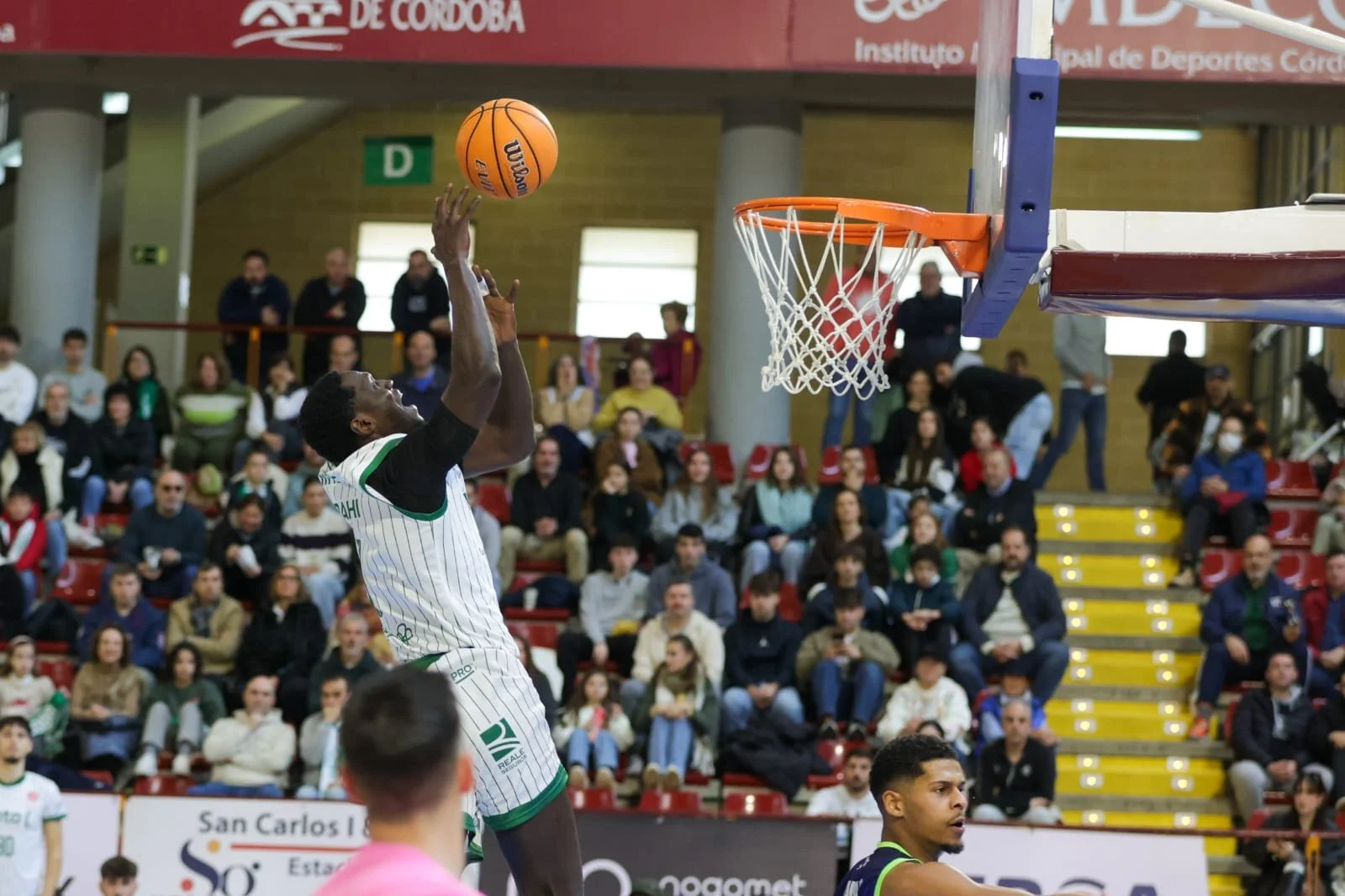 WhatsApp Image 2026-01-04 at 12.48.25 (4).jpeg