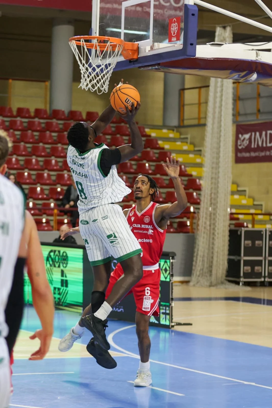 PHOTO-2026-01-11-12-59-28 5.jpg