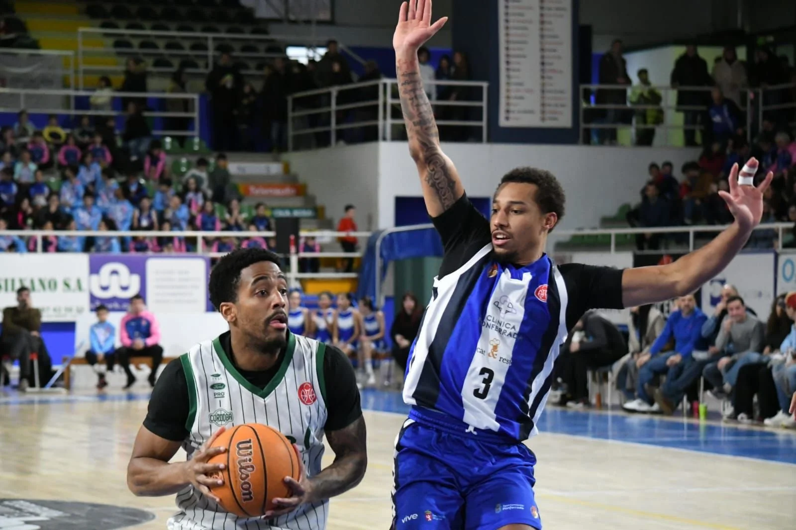 WhatsApp Image 2026-01-17 at 19.40.40 (5).jpeg