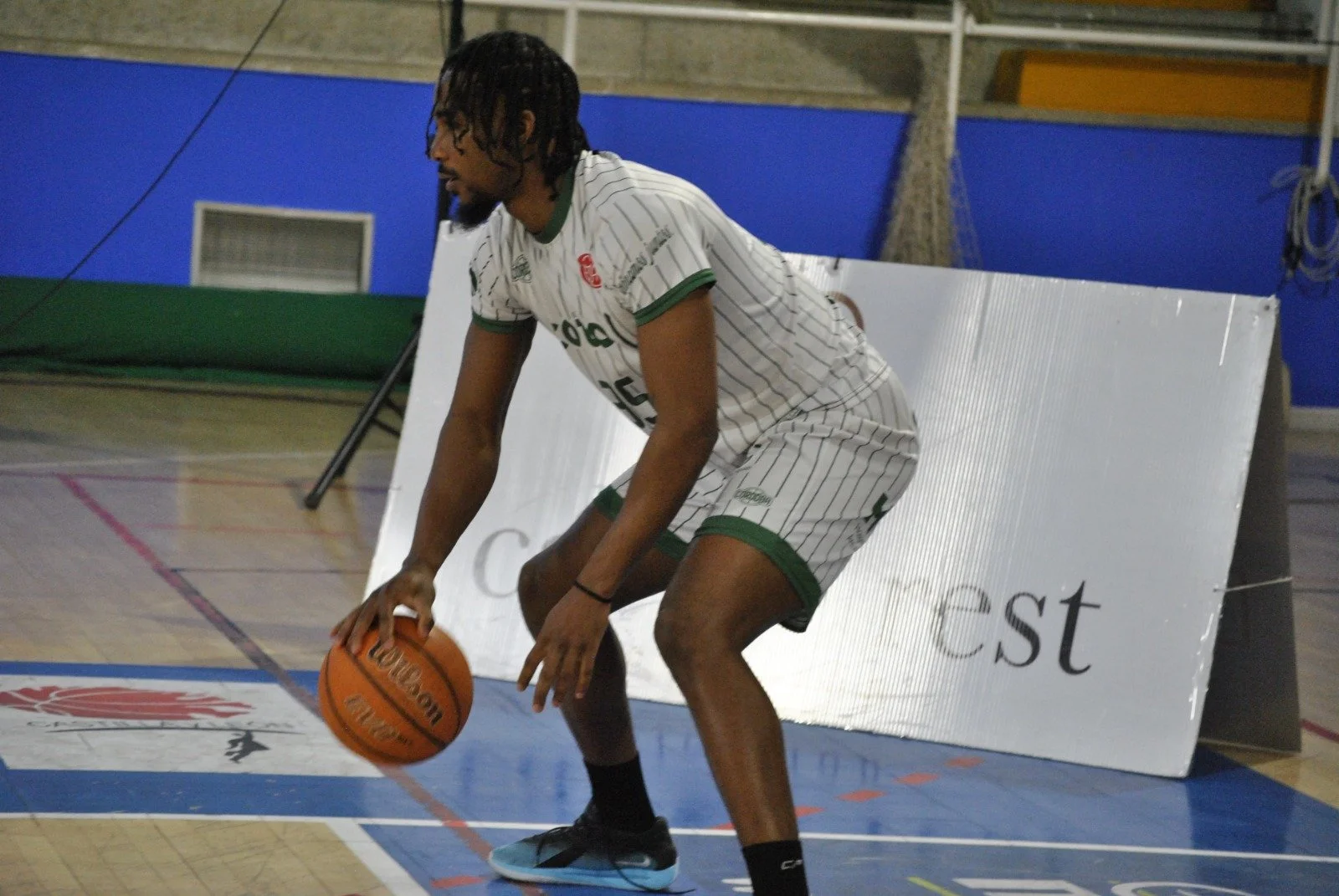 WhatsApp Image 2026-01-17 at 17.22.07.jpeg