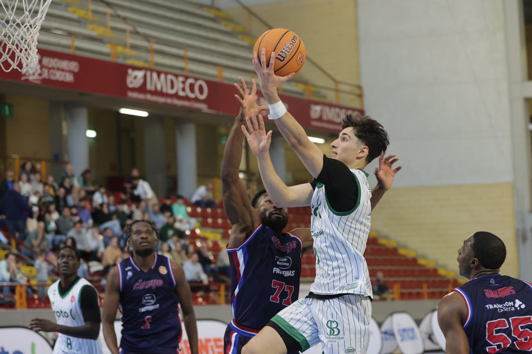 WhatsApp Image 2026-03-22 at 15.33.10 (6).jpeg