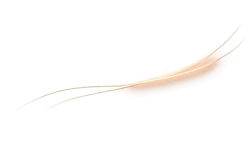 Close-up of a beige and white bird feather, isolated on a black background.