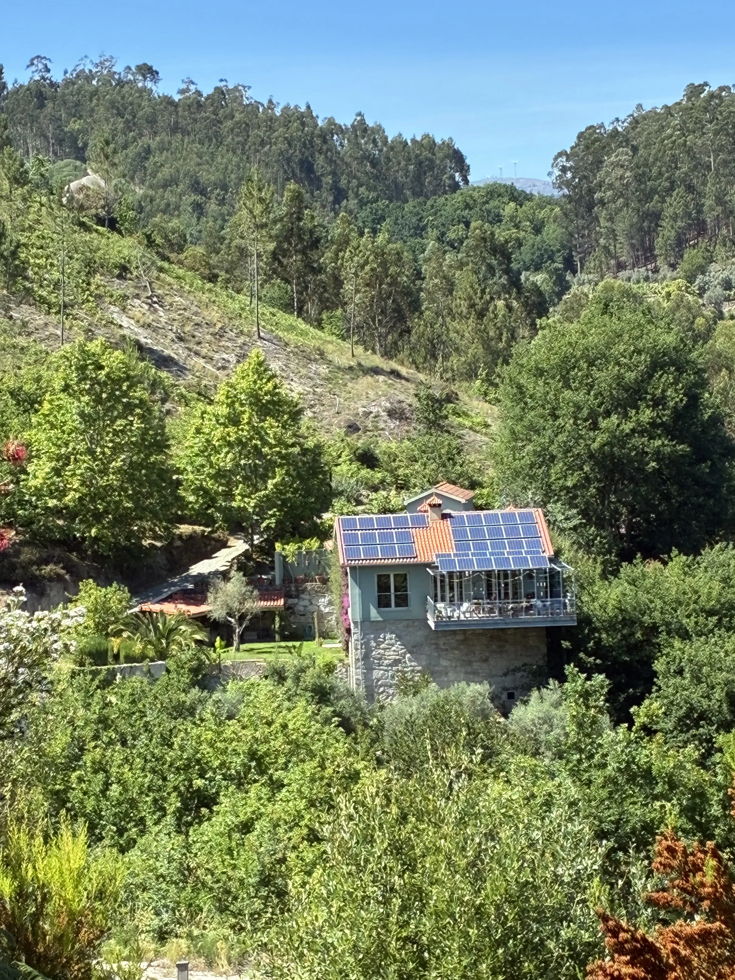 IMG_0271.jpeg