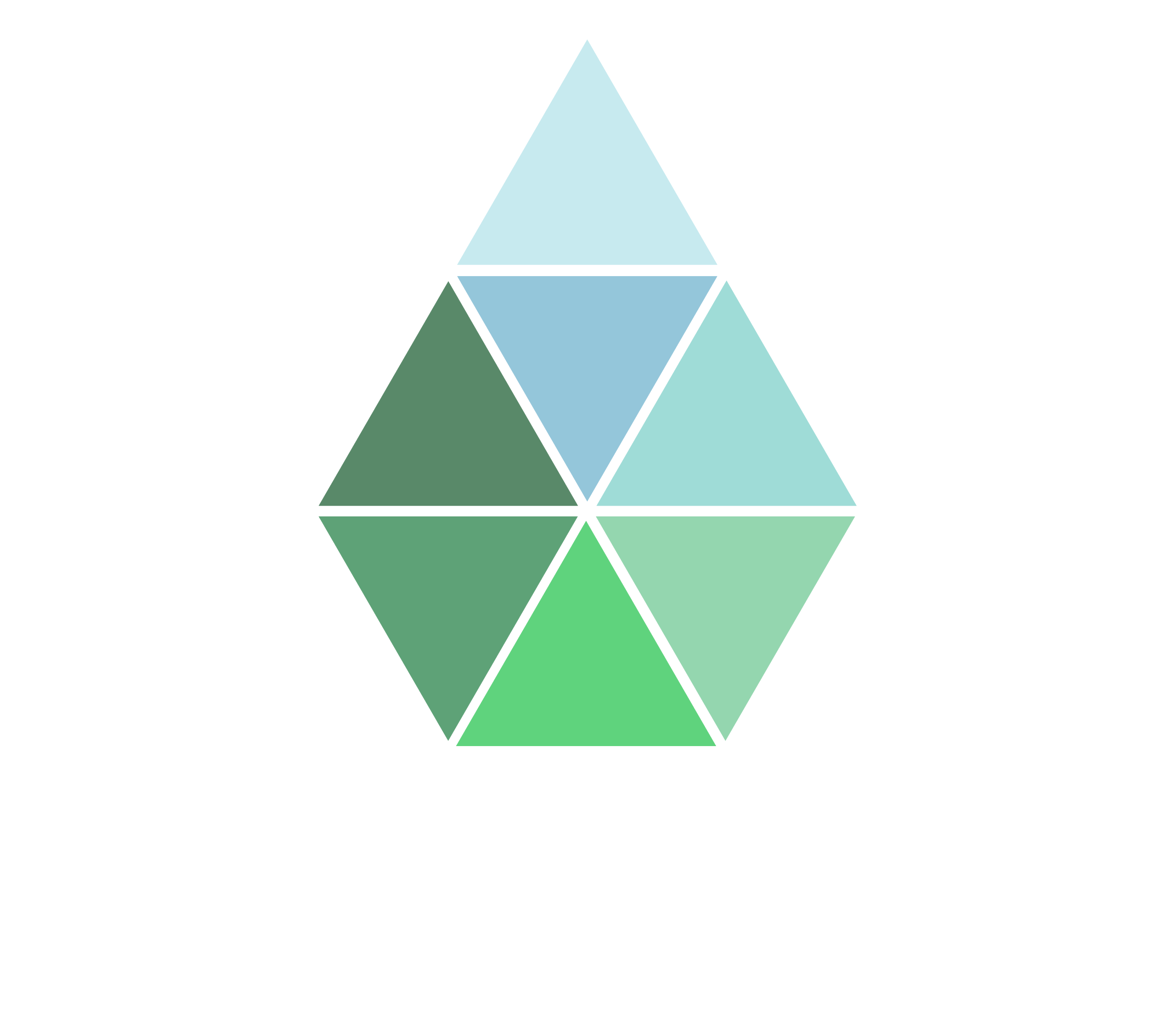 The New Agrarian Economy Report on Expanding Urban Agriculture in NYC