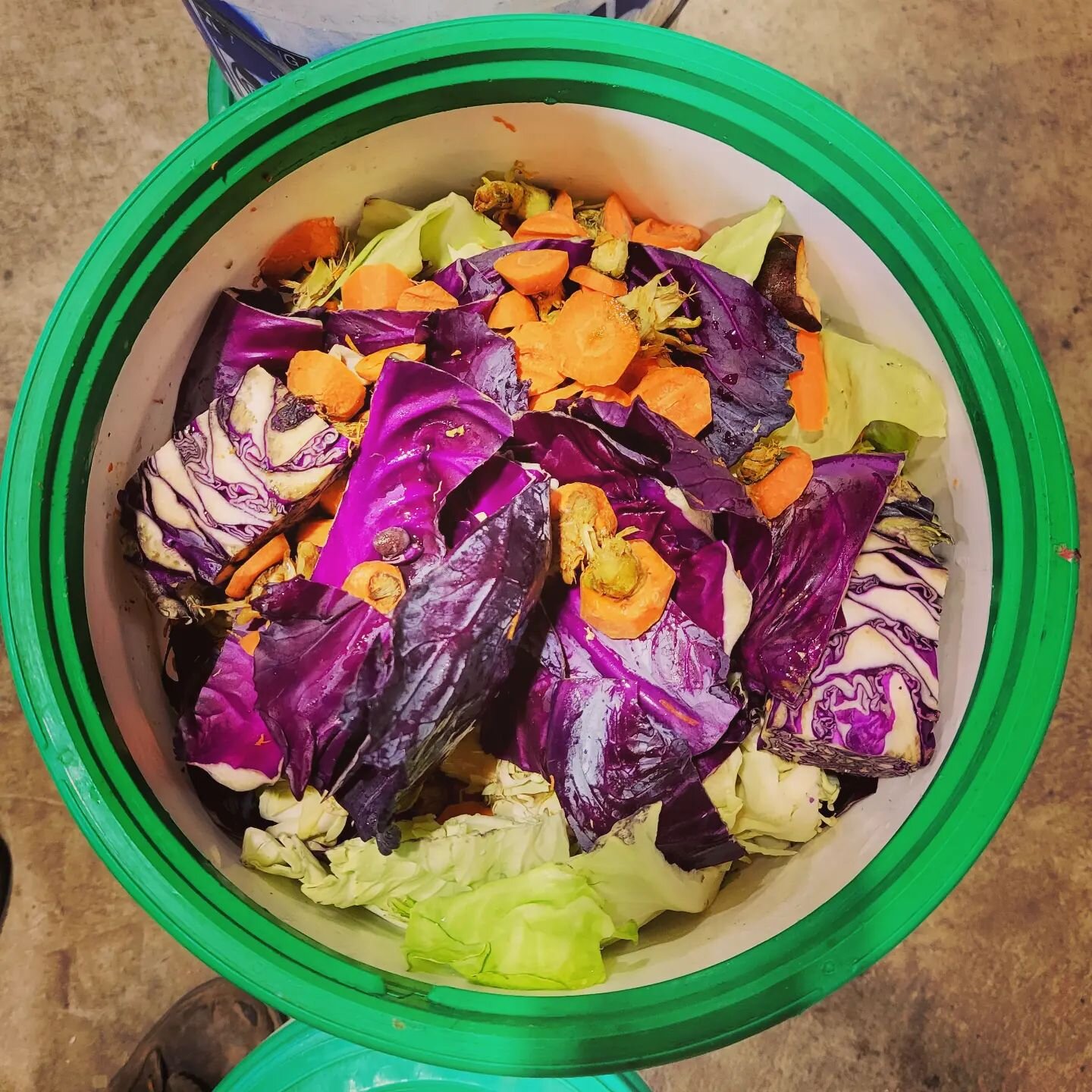 @wickedwillowllc has consistently had some of the most #beautifulbuckets over the years. 

I mean come on, the colors of purple cabbage and carrots!!!

This coming weekend is your last chance to enjoy their wonderful vegan fare. Don't miss your oppor