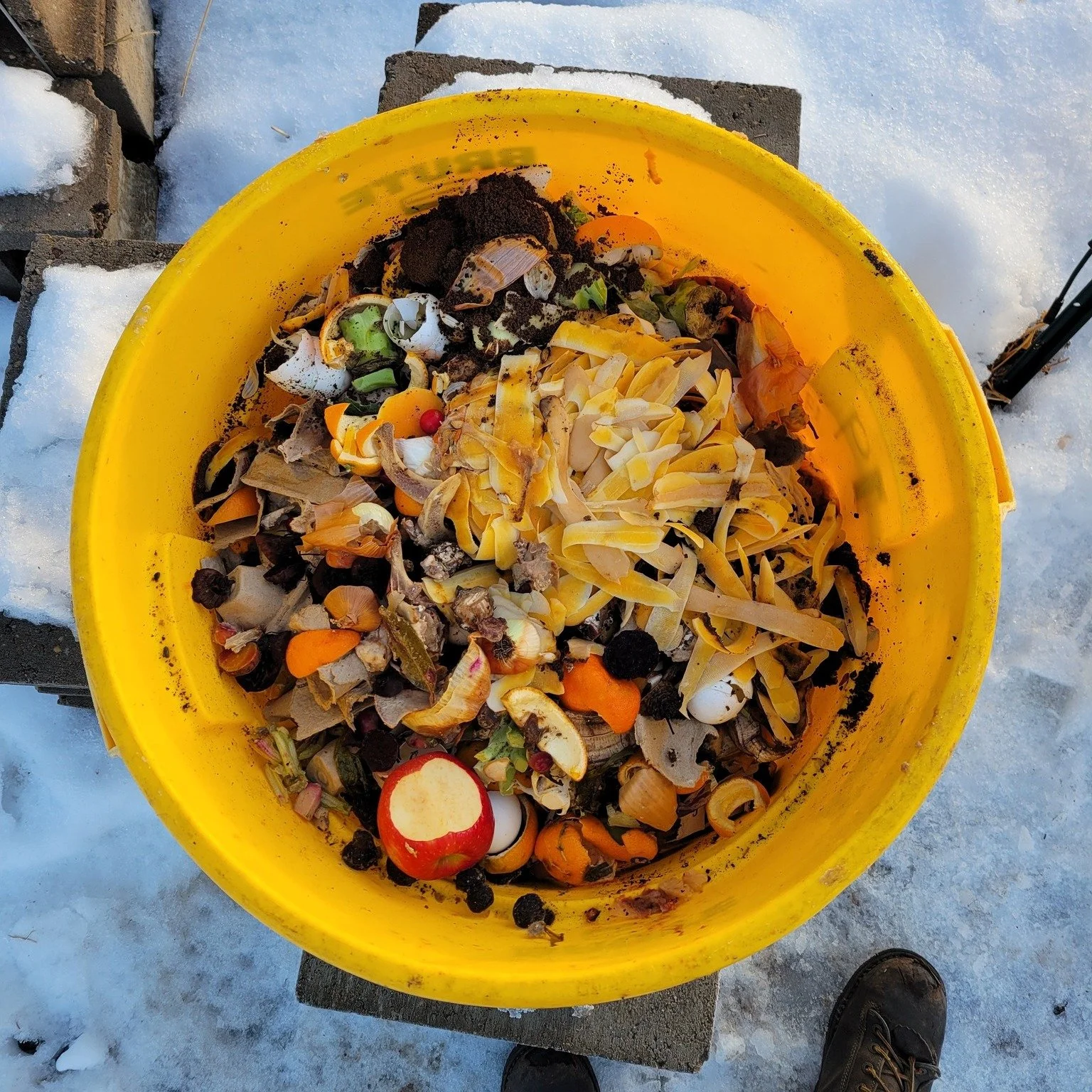 Just a few #beautifulbuckets to brighten up yer day