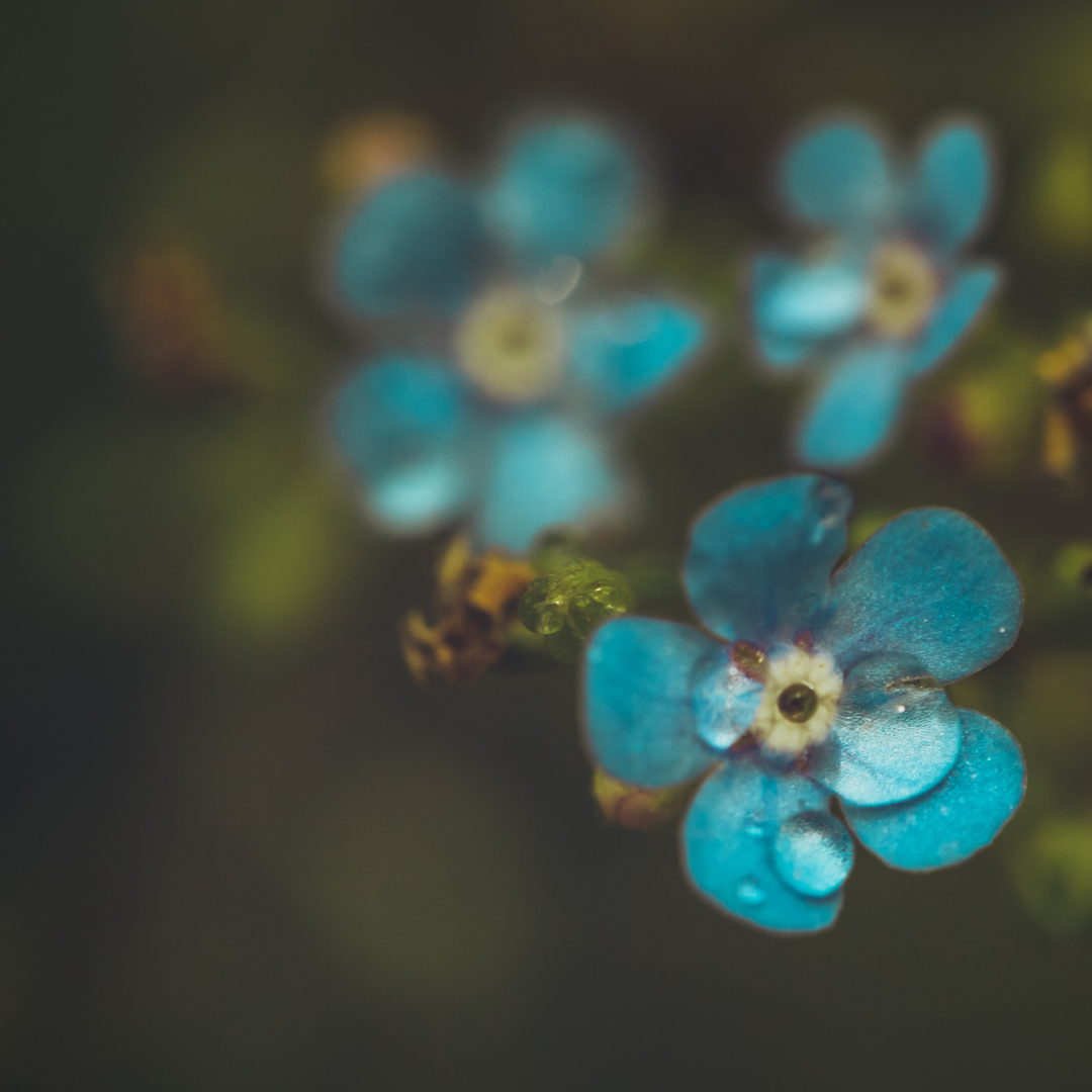 Living with Chronic Pain: How to Help Others Understand