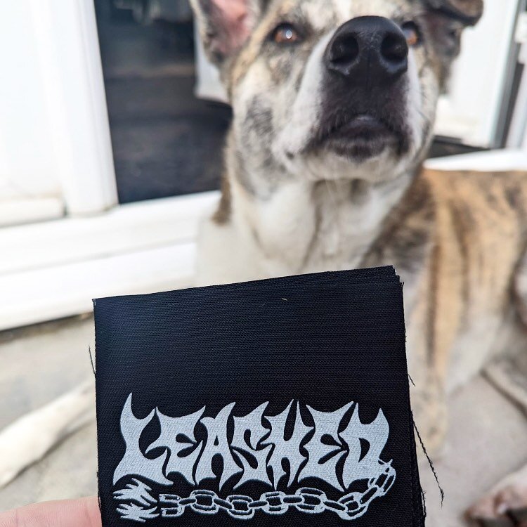 Patches for @leashed.punk , pooch certified 

#bandmerch #punkpatches #punkpooches