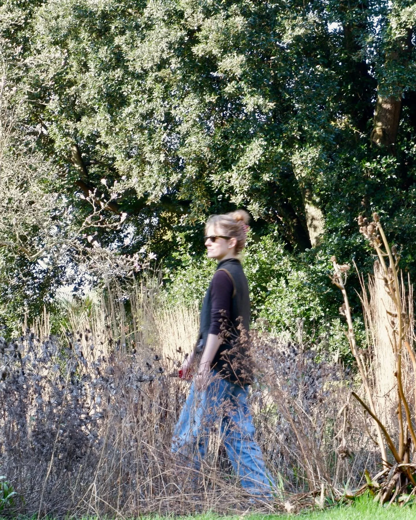 Today, a special opportunity to pick in @westdeangardens to store for this summer's workshop at the College, to be held in the Orangery.

Armed with cutters and surrounded by a forest of seed-heads and ragged sticks, I was in my kind of bliss. Snip-s