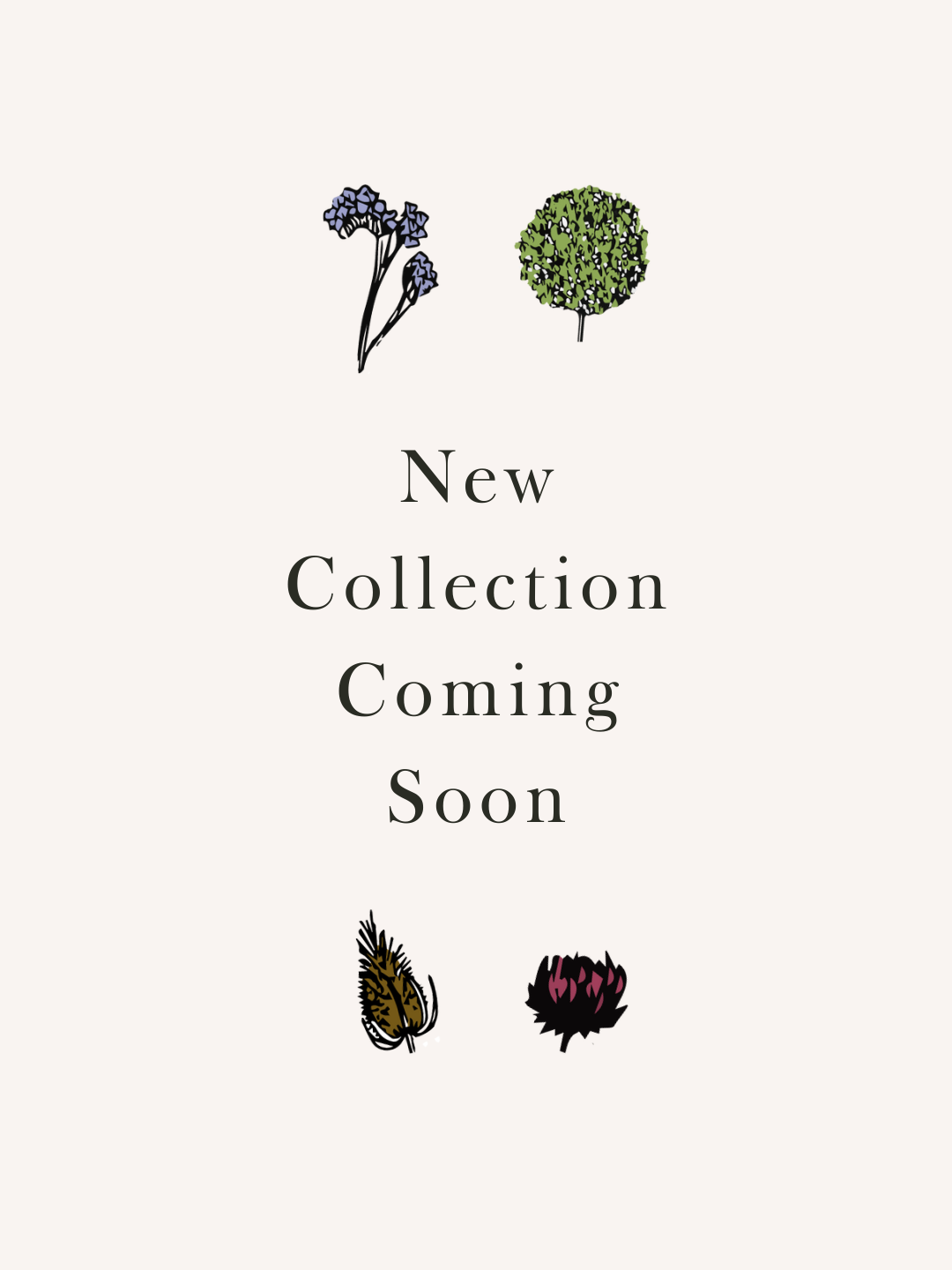 Flower Fairies by Lucy Lee