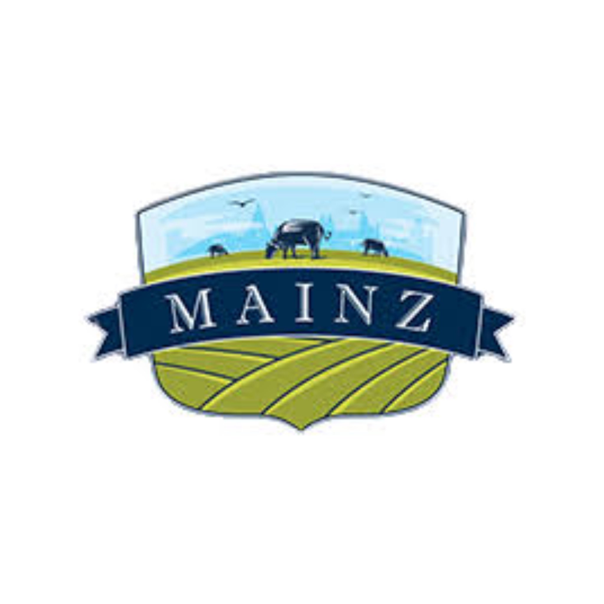 mainz2.jpg