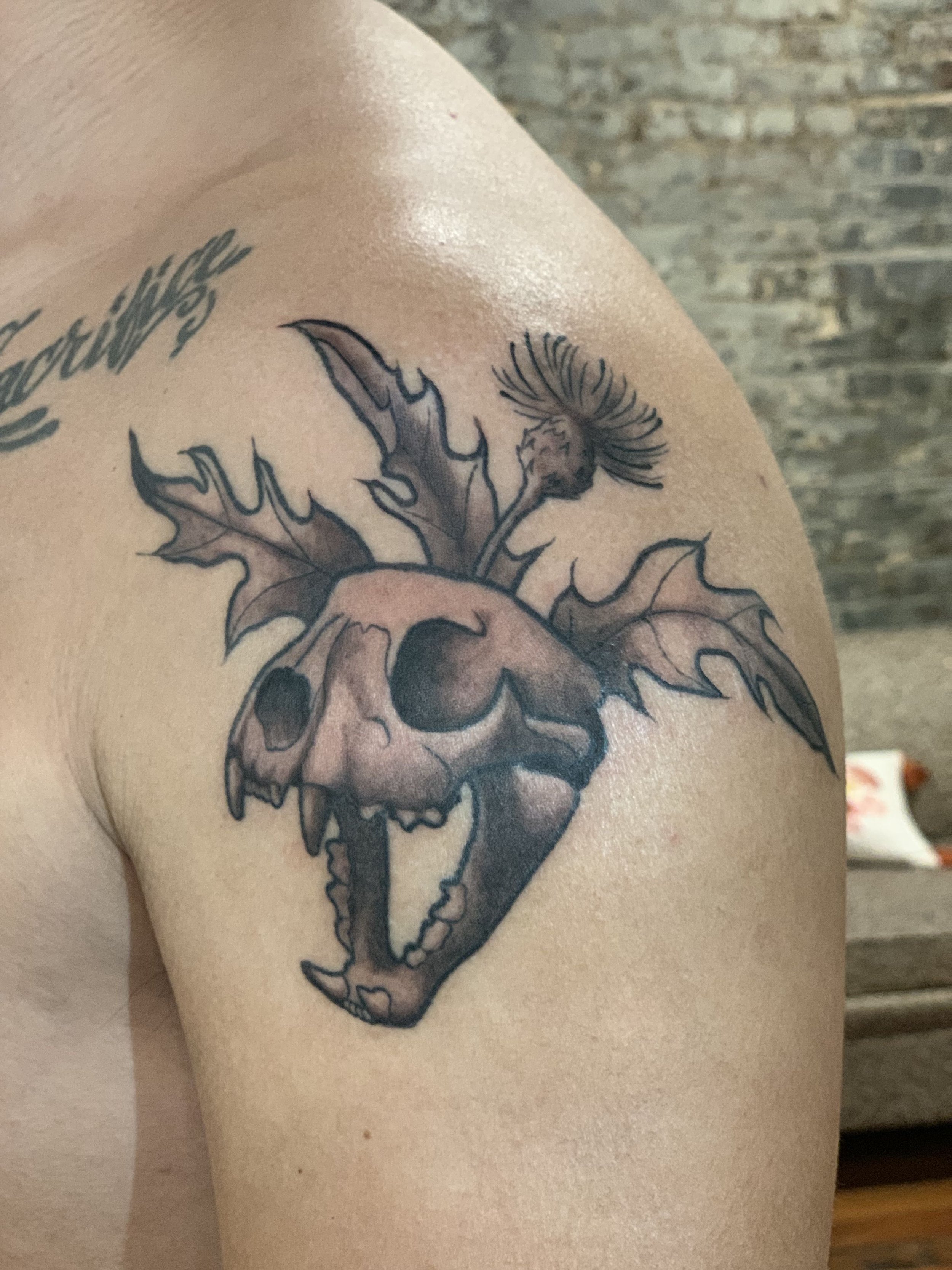 70 Wendigo Tattoos Origins Meanings  Tattoo Designs