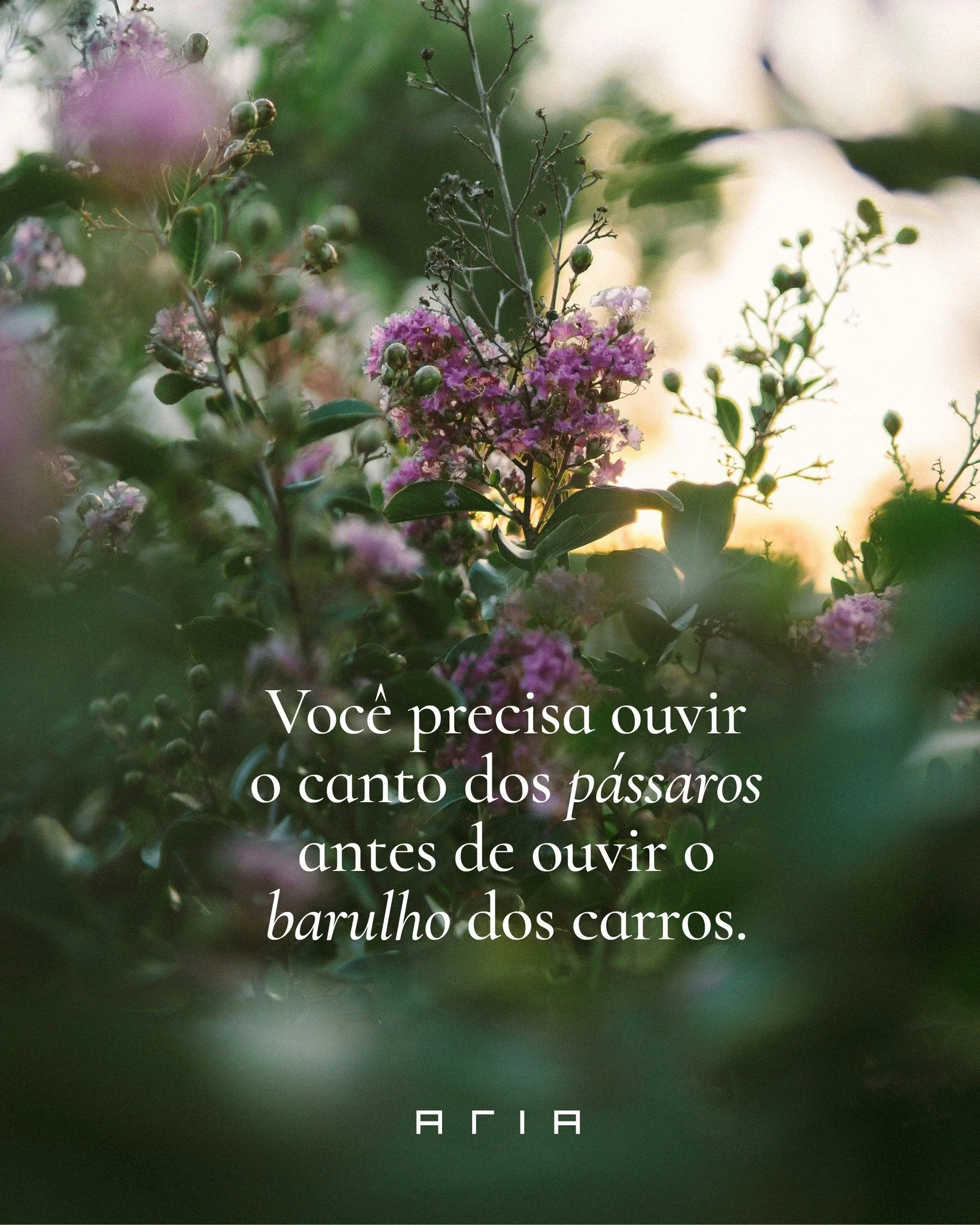 Fez sentido para voc&ecirc;? Poder acordar com a alma calma, em meio &agrave; natureza, &eacute; um privil&eacute;gio e tamb&eacute;m &ldquo;meio caminho andado&rdquo; para um dia feliz. Aqui no Aria, isso &eacute; uma prerrogativa.