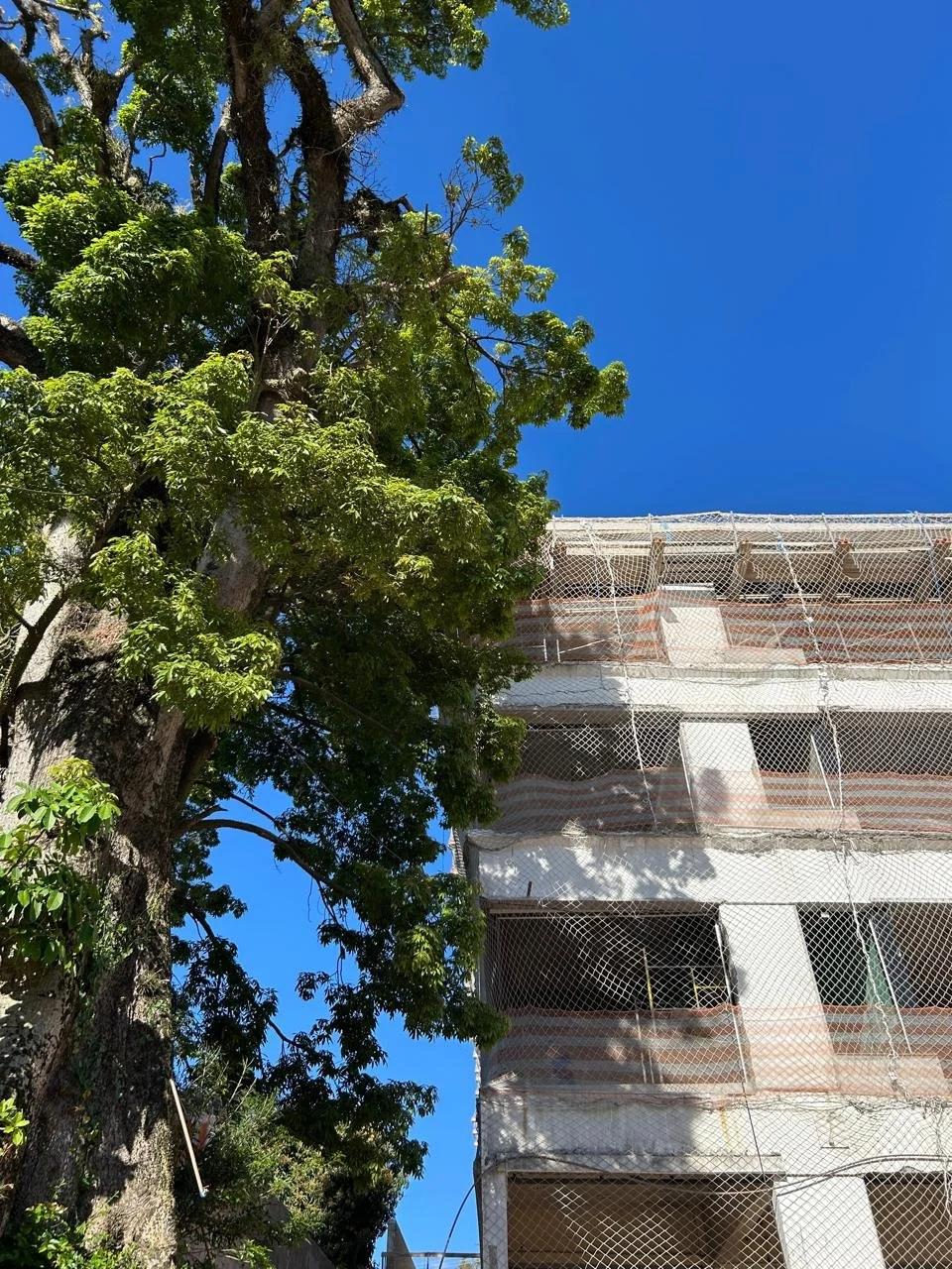 O edif&iacute;cio do Aria sempre bem acompanhado da Paineira. Em diferentes cores em cada esta&ccedil;&atilde;o do ano, de qualquer forma ela abrilhanta e embeleza todo o contexto. Sorte dos futuros moradores dos apartamentos do Aria!