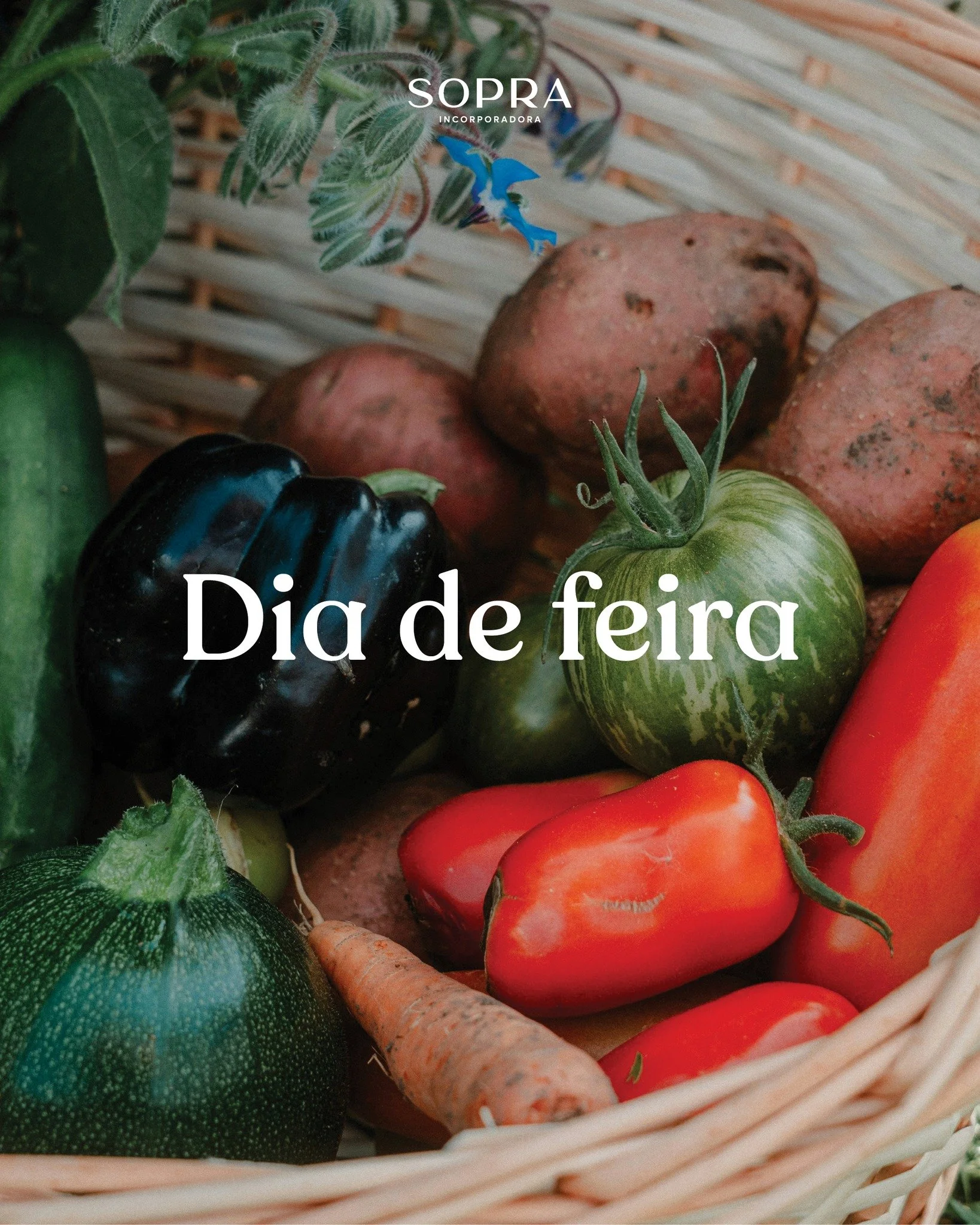 O nosso querido Menino Deus tem in&uacute;meras possibilidades de conveni&ecirc;ncias, lazer e facilidades para o cotidiano de seus moradores. 

A Feira Ecol&oacute;gica do Menino Deus &eacute; umas dessas atra&ccedil;&otilde;es imperd&iacute;veis do