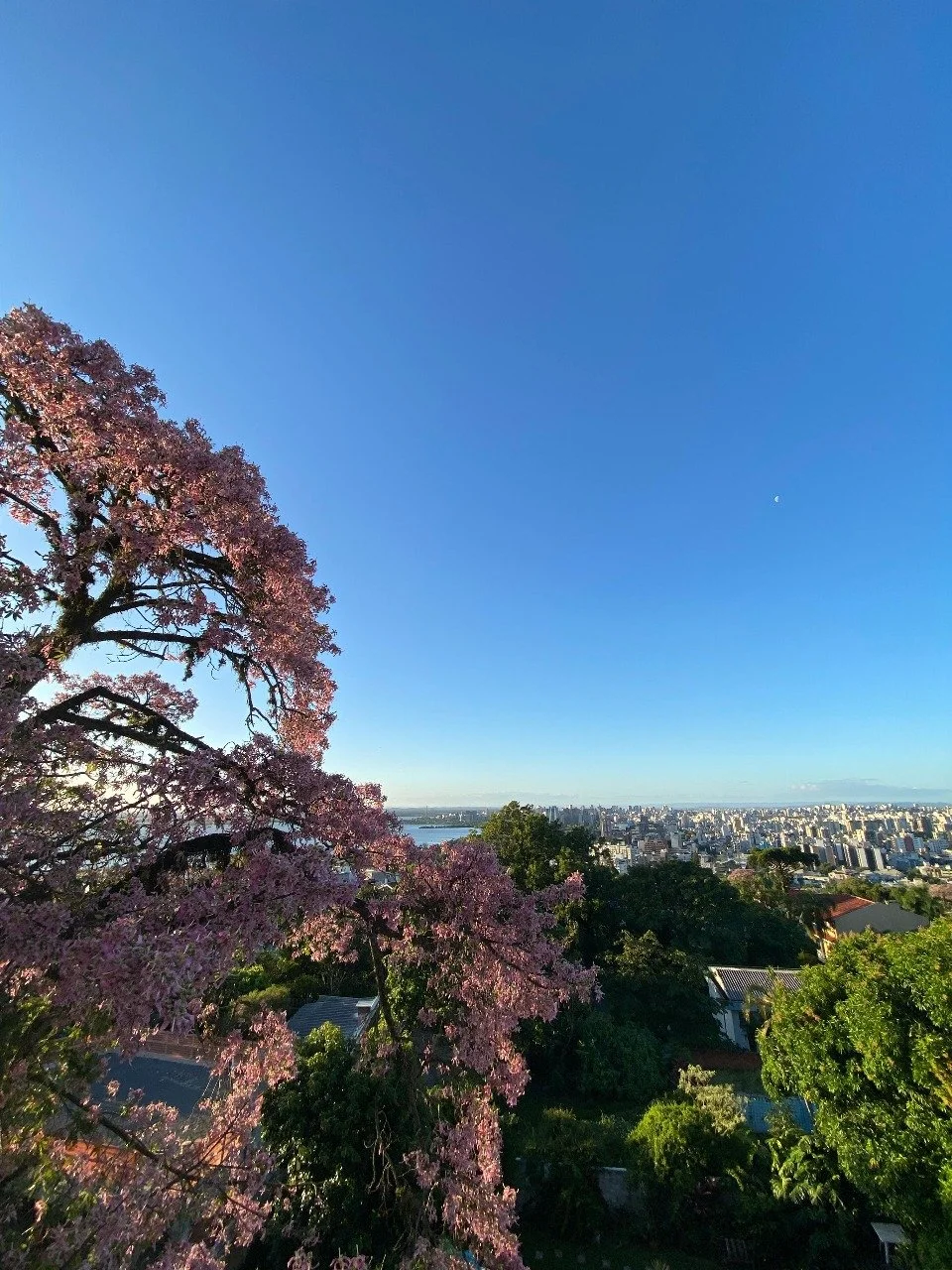 Entre a cidade, o rio e o verde, o ref&uacute;gio perfeito &eacute; no Aria.