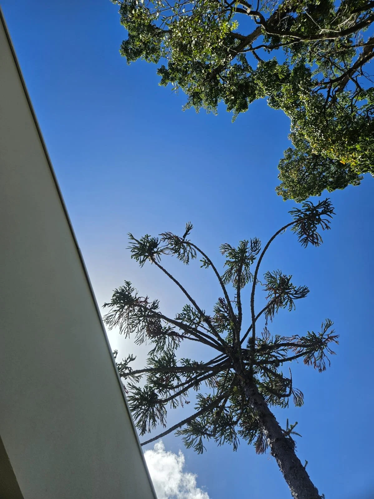 O ver&atilde;o j&aacute; acabou, mas por aqui seguimos aproveitando os dias de sol com esse cen&aacute;rio.