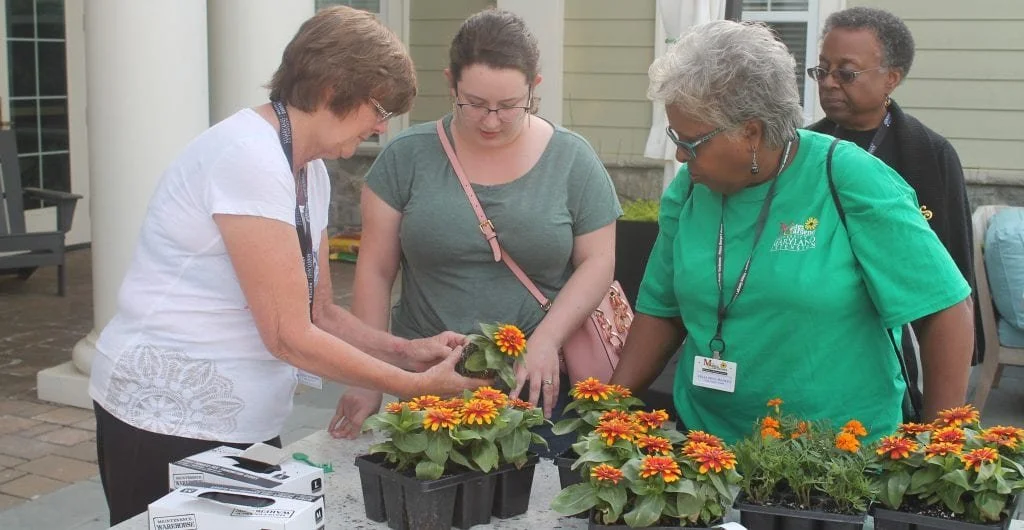 Seeds of Tomorrow: Potted Planting