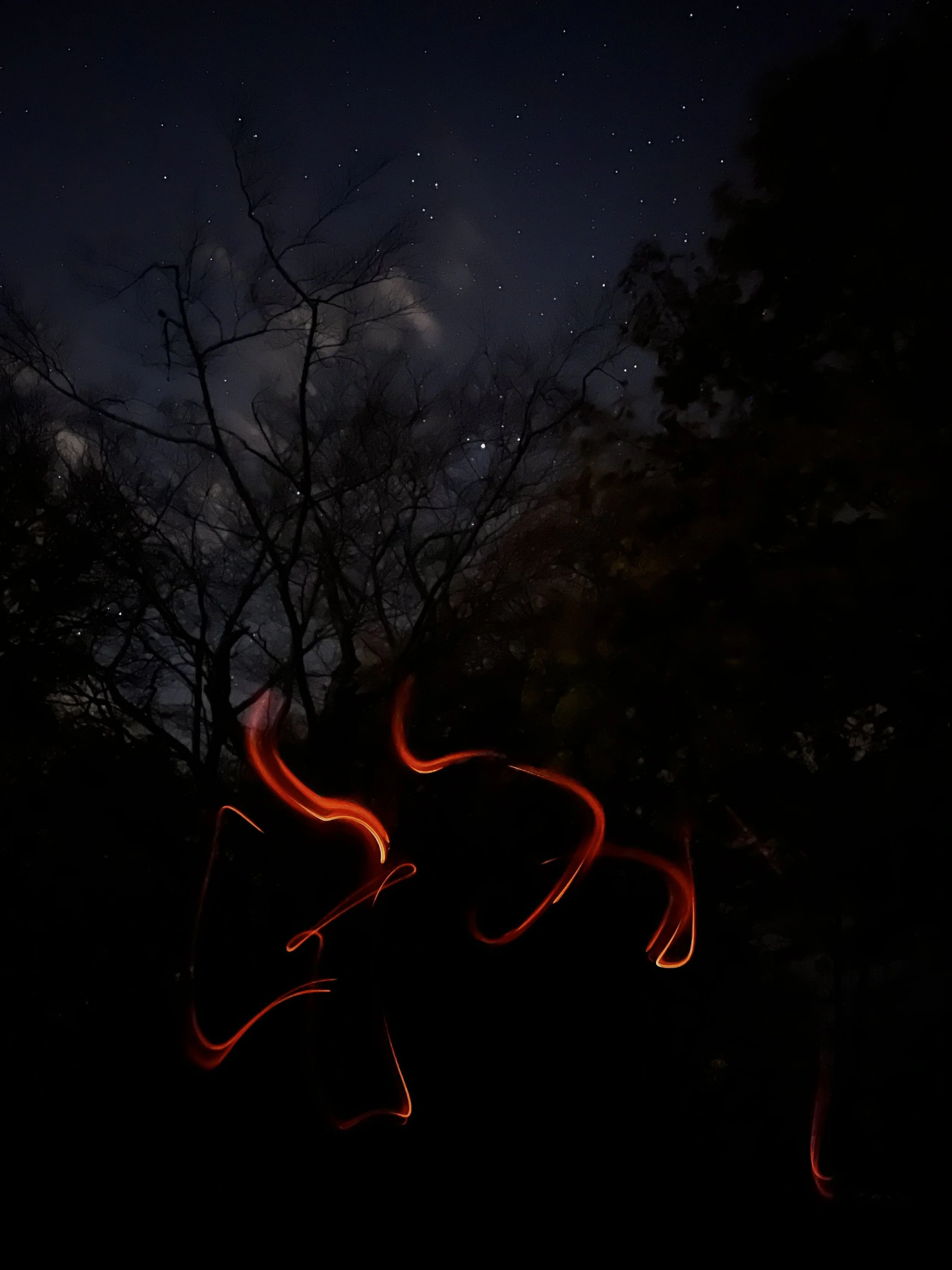 Light Exposures On A Starry Night