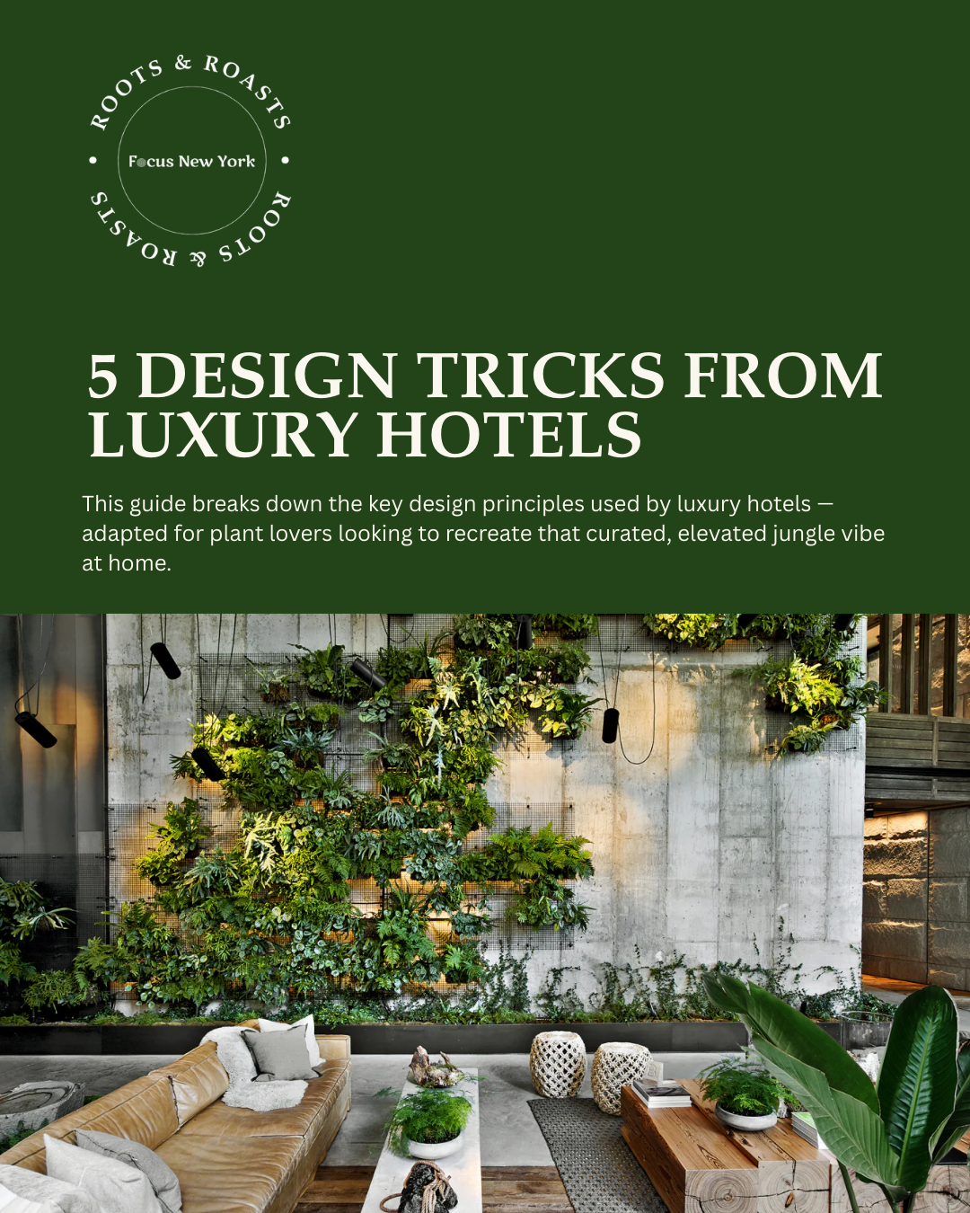 Roots & Roasts 5 Design Tricks Every Plant-Lover Steals from Luxury Hotels.png