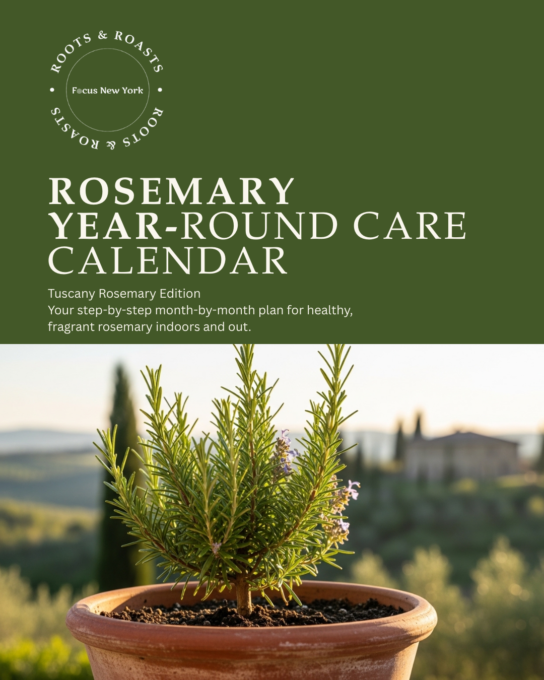 Roots & Roasts by Focus New York Rosemary Year-Round Care Calendar – Tuscany Rosemary Edition.png