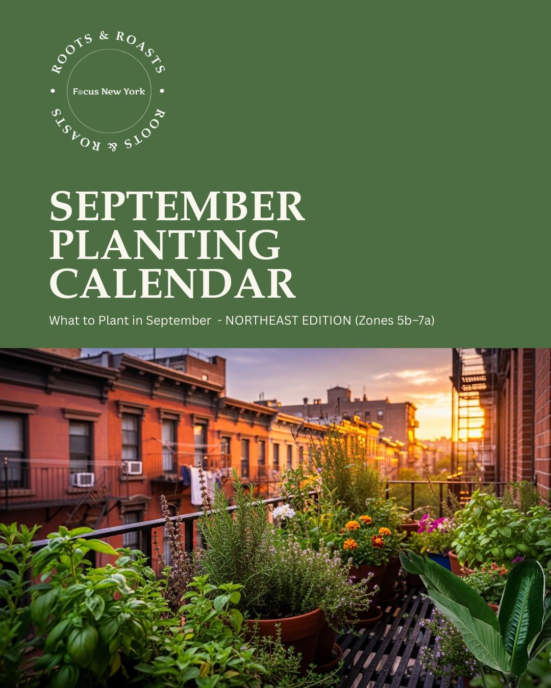 Roots & Roasts SEPTEMBER PLANTING CALENDAR.png