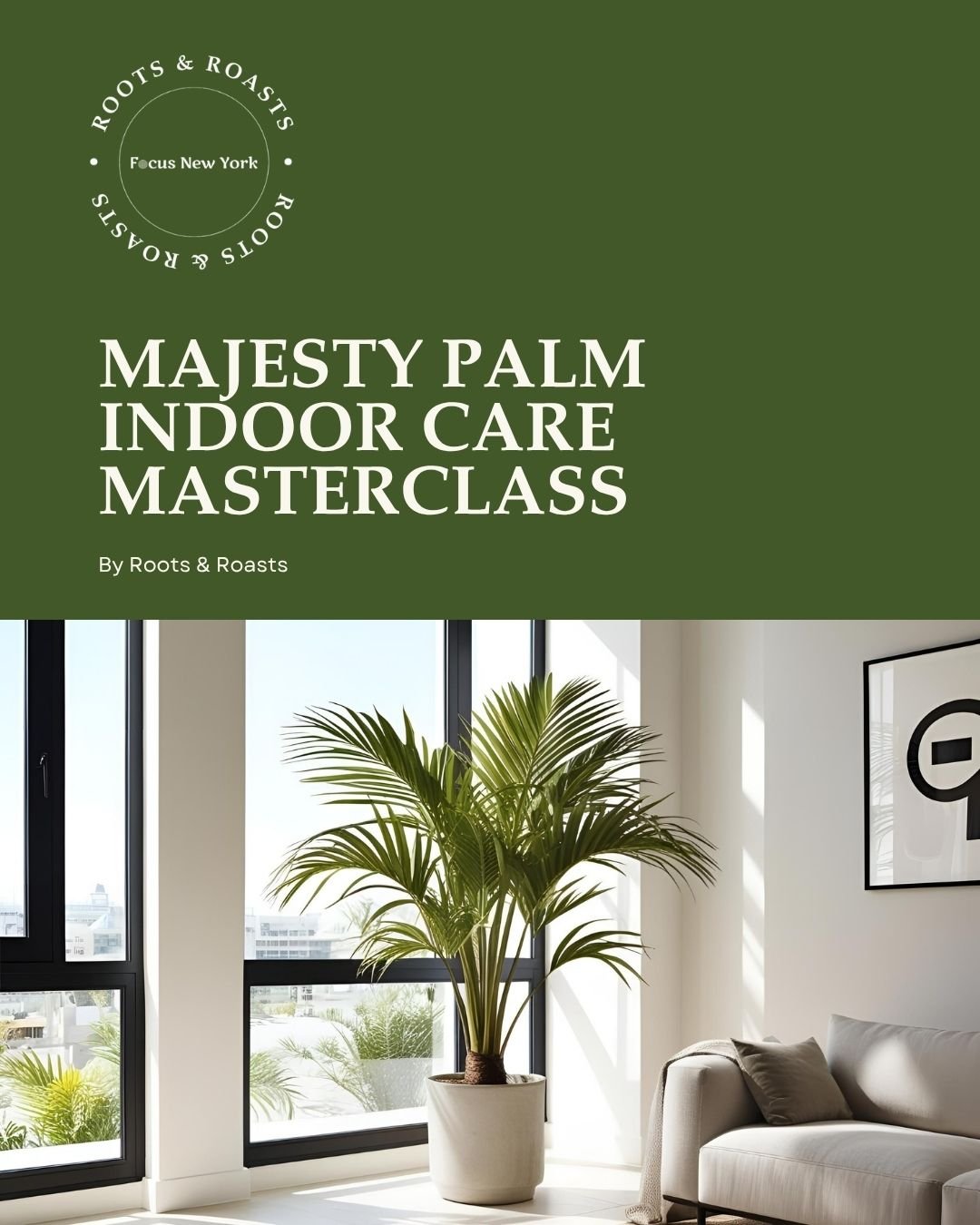 Majesty Palm Indoor Care Masterclass.jpg