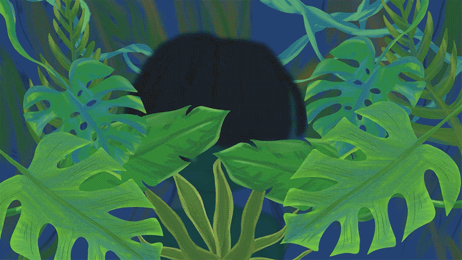 Os Olhos Da Floresta