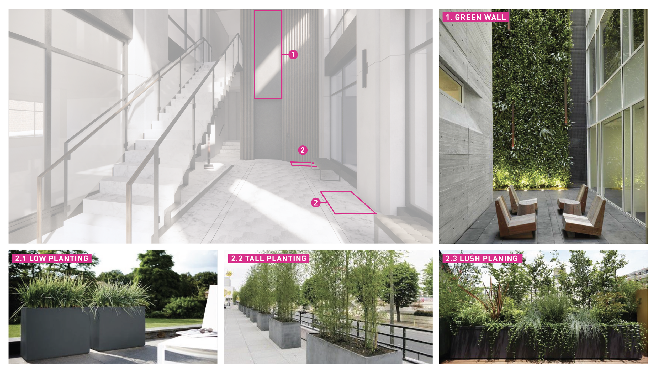 WAYZATA OFFICE_GREEN WALL STUDY.png