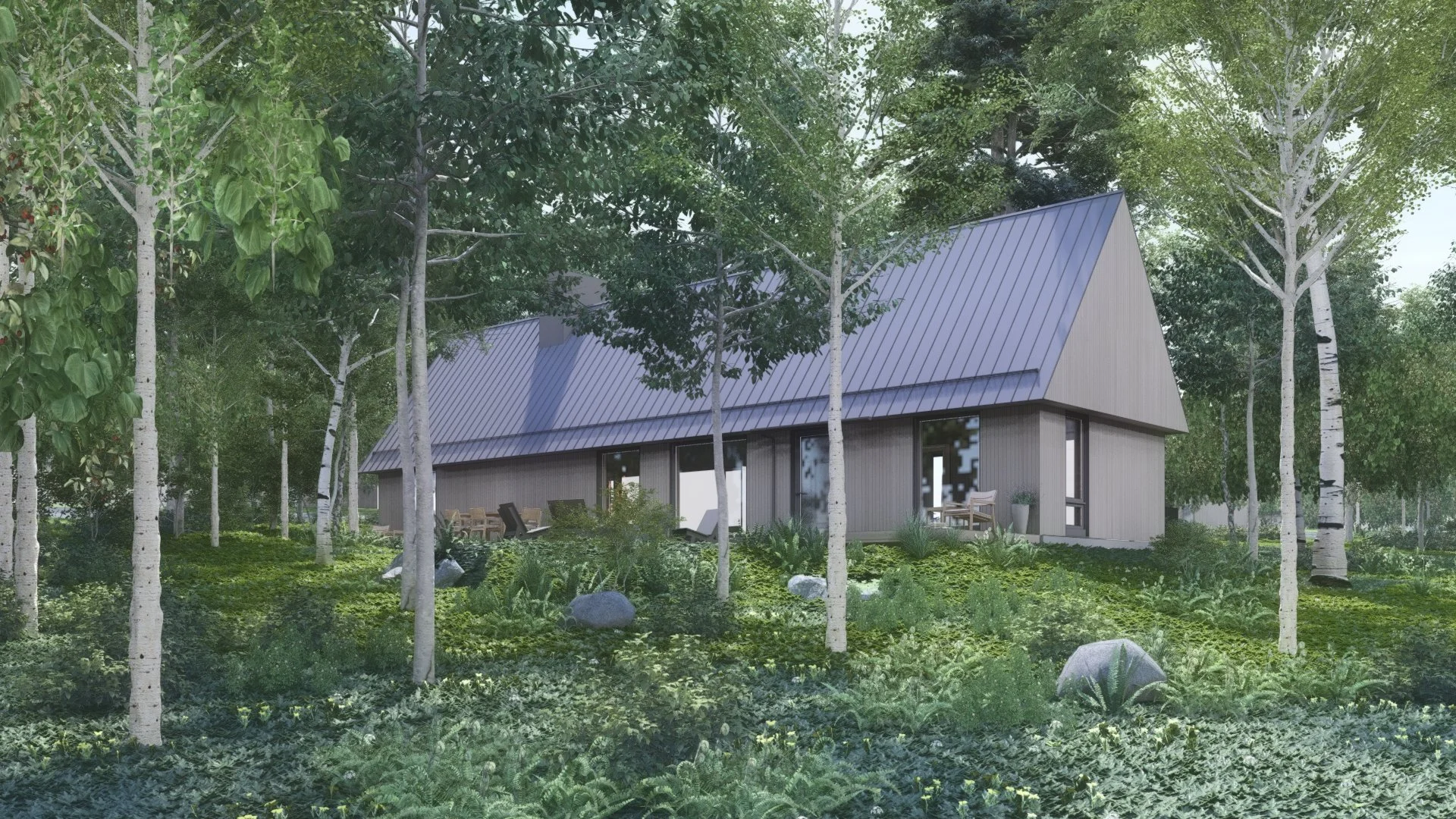 WRR_WOODLAND VIEW FROM FOREST.jpg