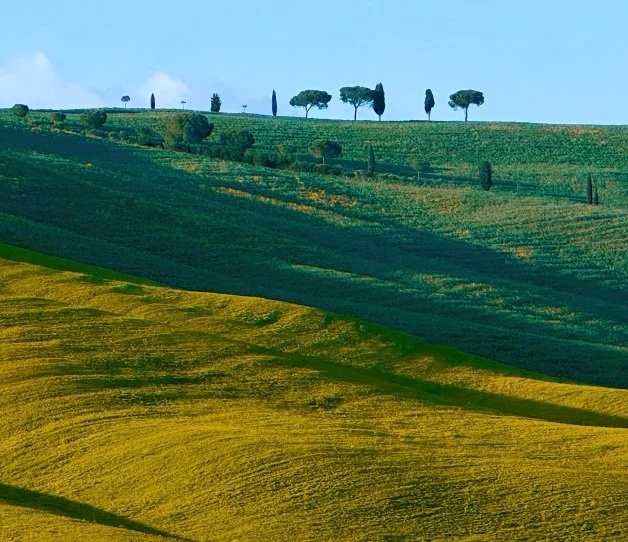 Hills-of-Tuscany-Landscape-Photography-Canvas-Print-Anne-Segal-Art-Canada-opt.jpg
