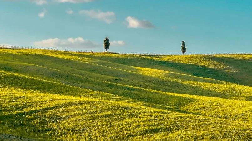 Tuscany-2024-Landscape-Photography-Canvas-Print-Anne-Segal-Art-Canada-opt.jpg