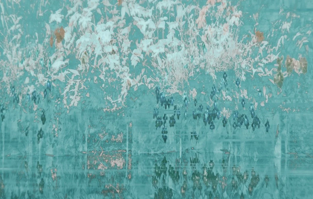Monet's Garden